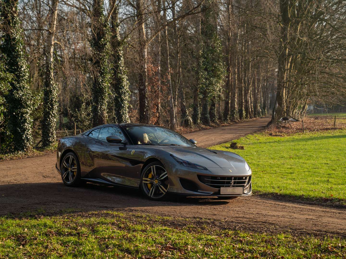 Ferrari Portofino - 2018 - Joinsteer - #13