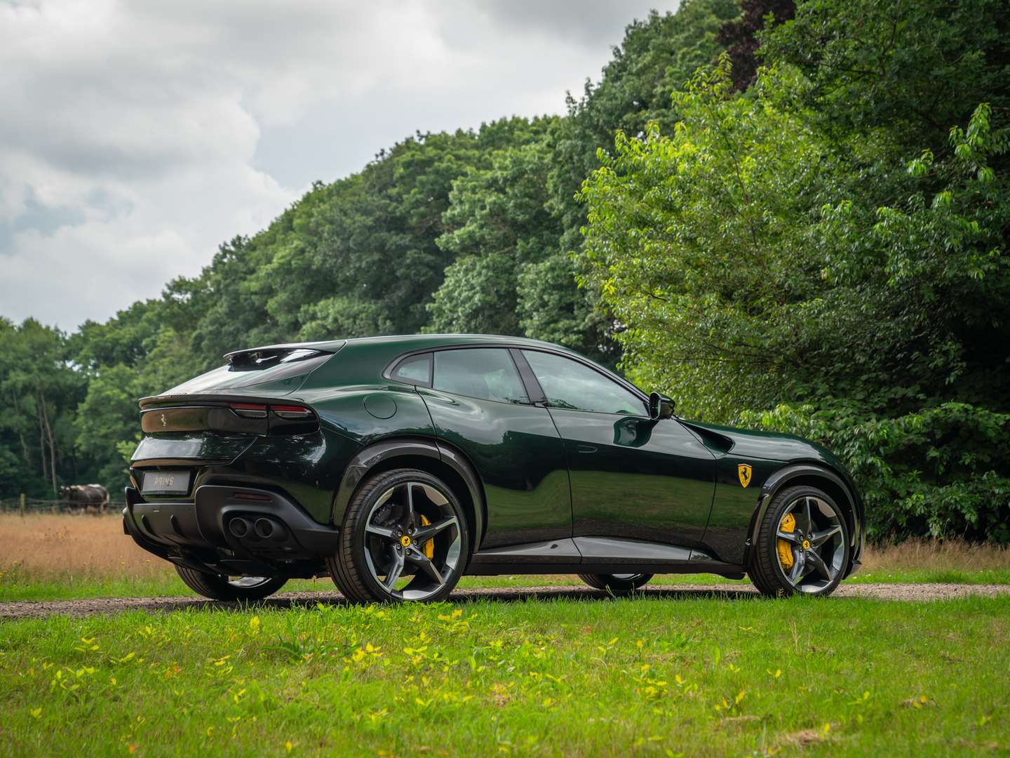 Ferrari Purosangue - 2025 - Joinsteer - #6