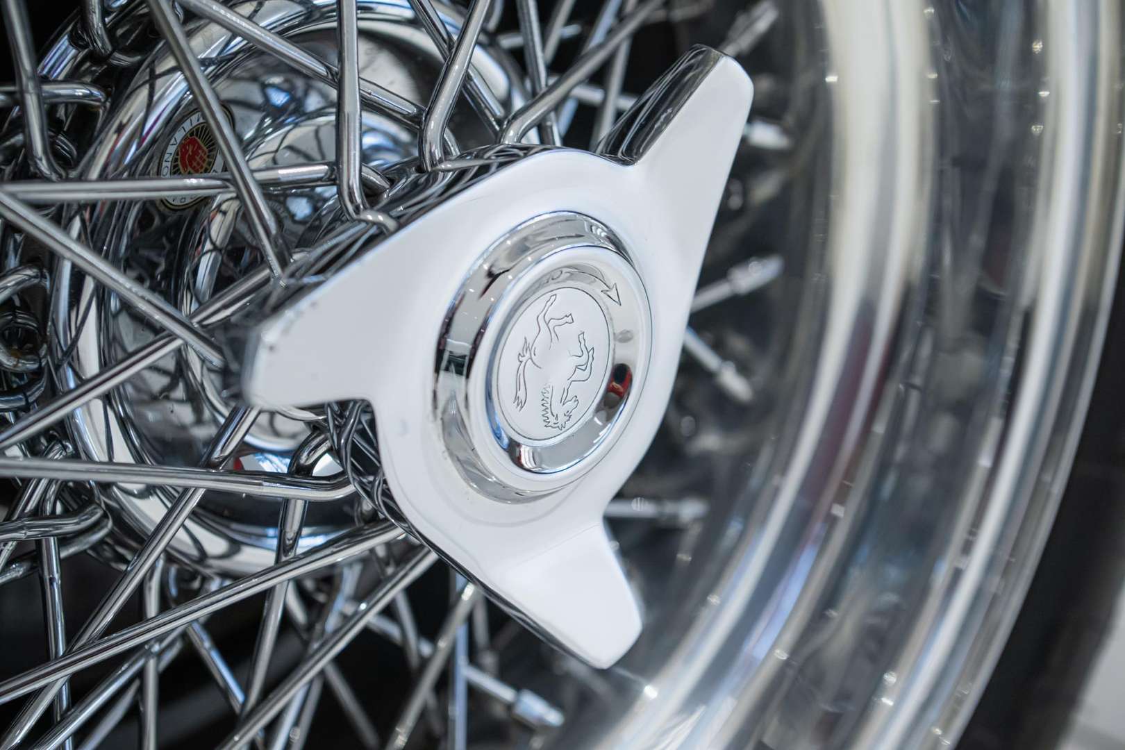 Ferrari Daytona - 1972 - Joinsteer - #10