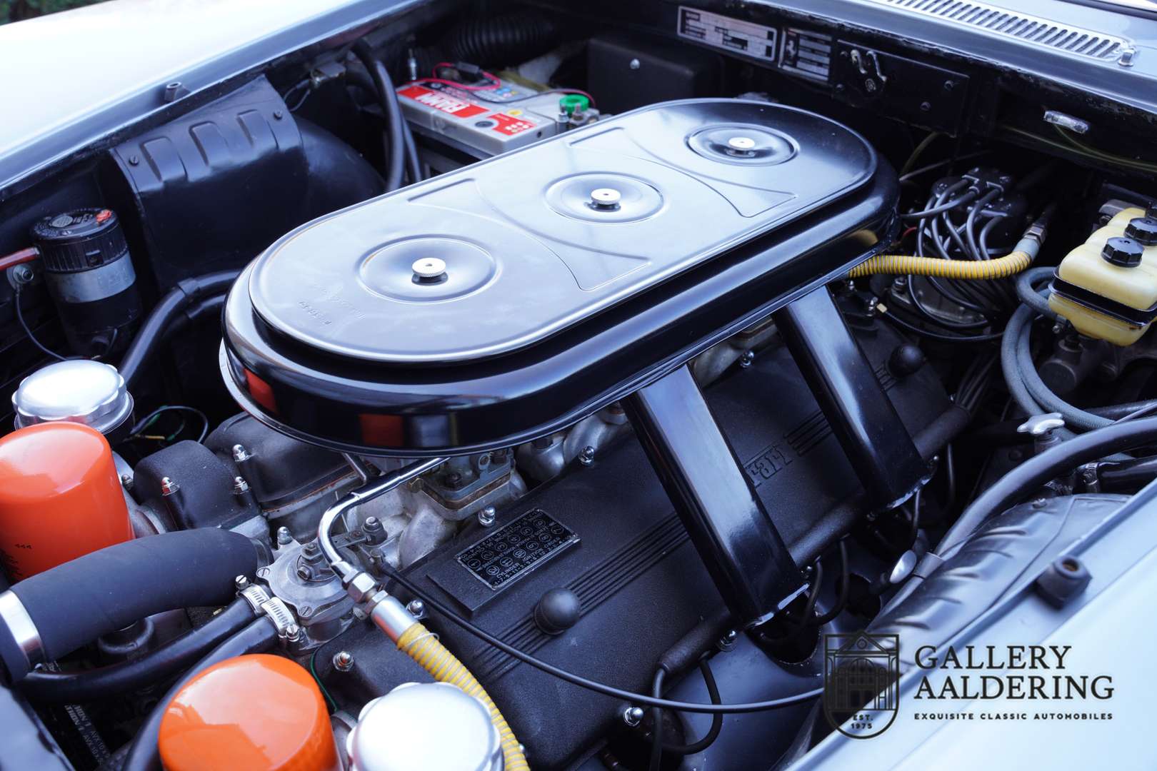 Ferrari 330 GT - 1965 - Joinsteer - #4