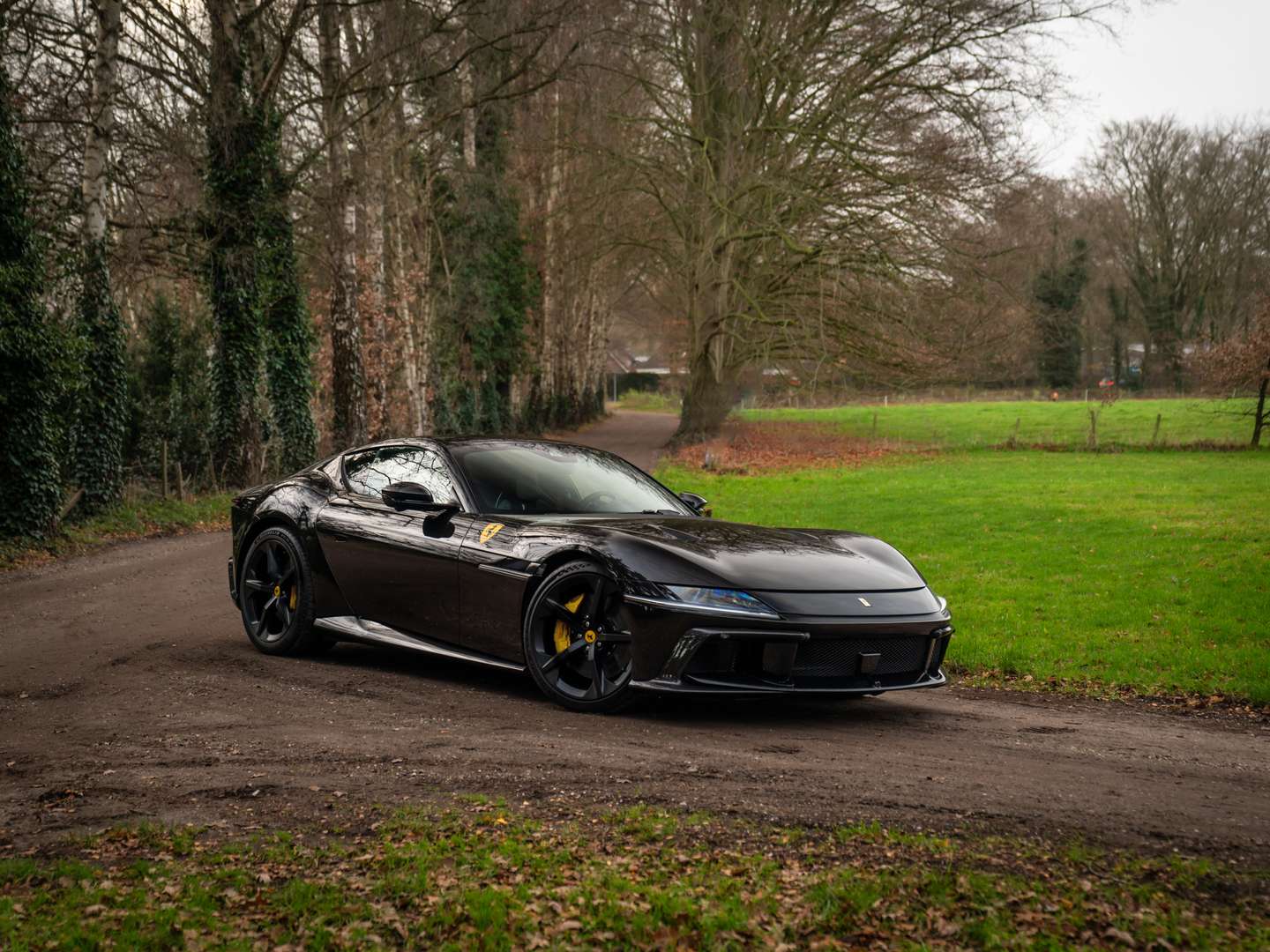 Ferrari 12 Cilindri - 2025 - Joinsteer - #14