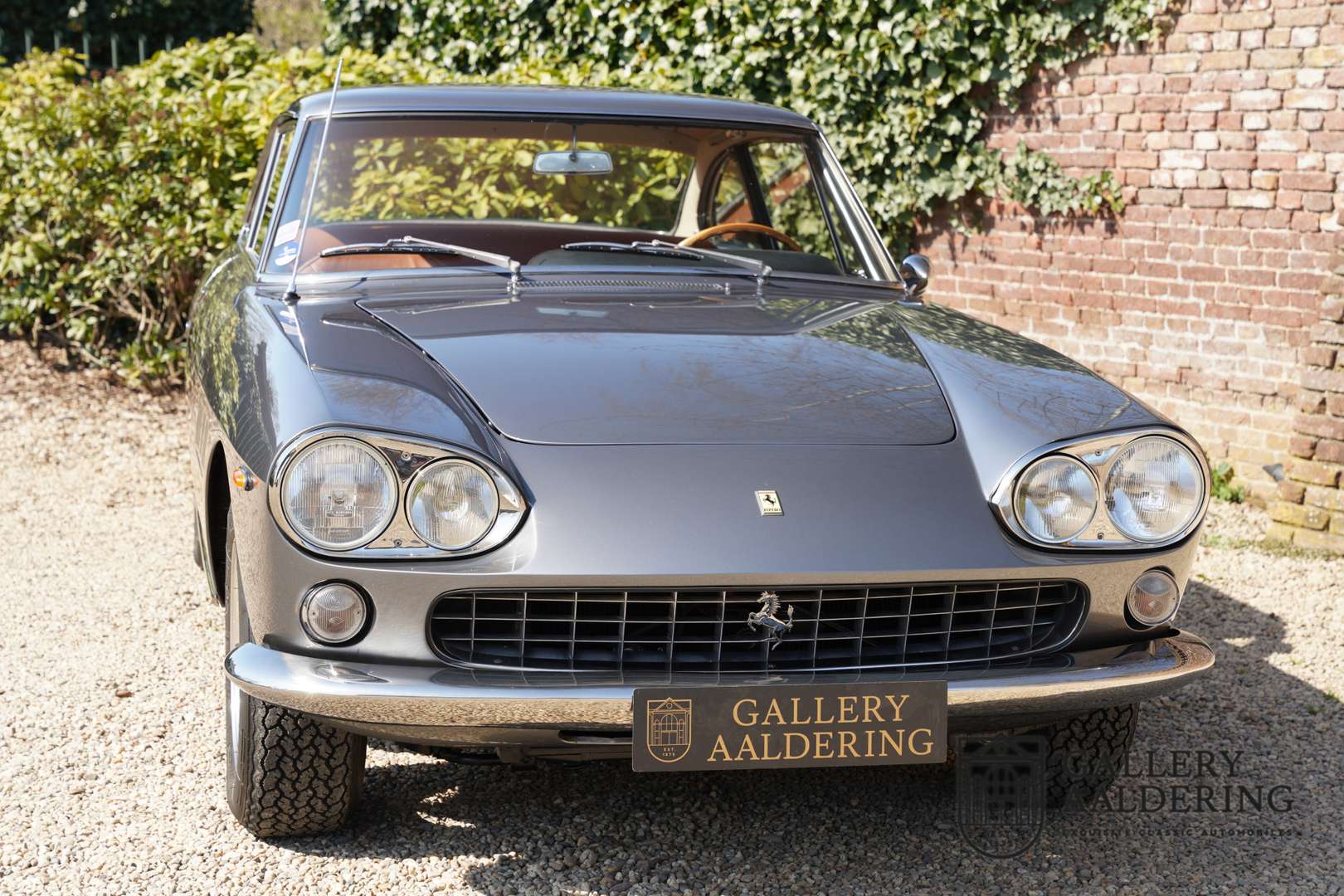 Ferrari 330 GT - 1965 - Joinsteer - #45