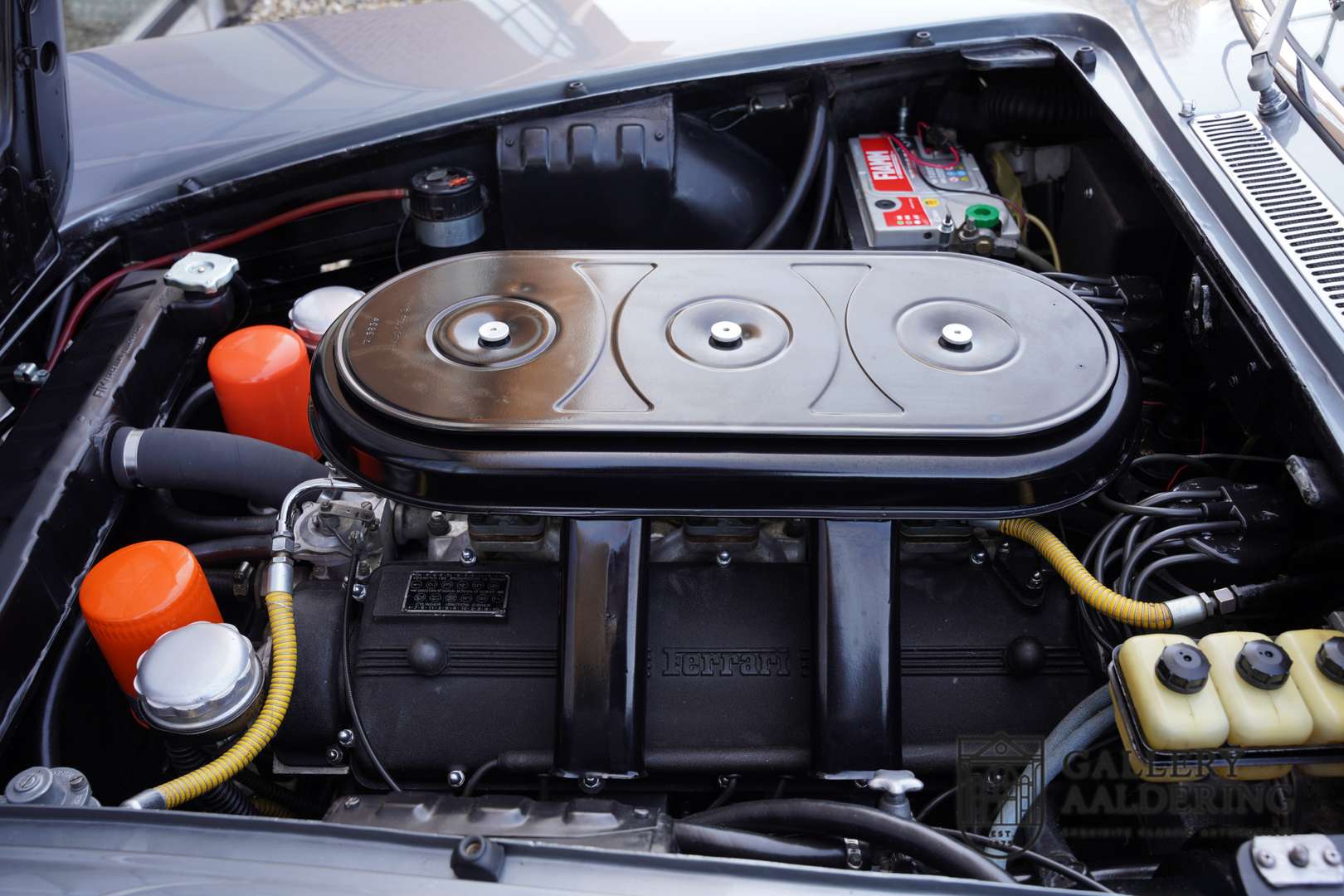 Ferrari 330 GT - 1965 - Joinsteer - #50