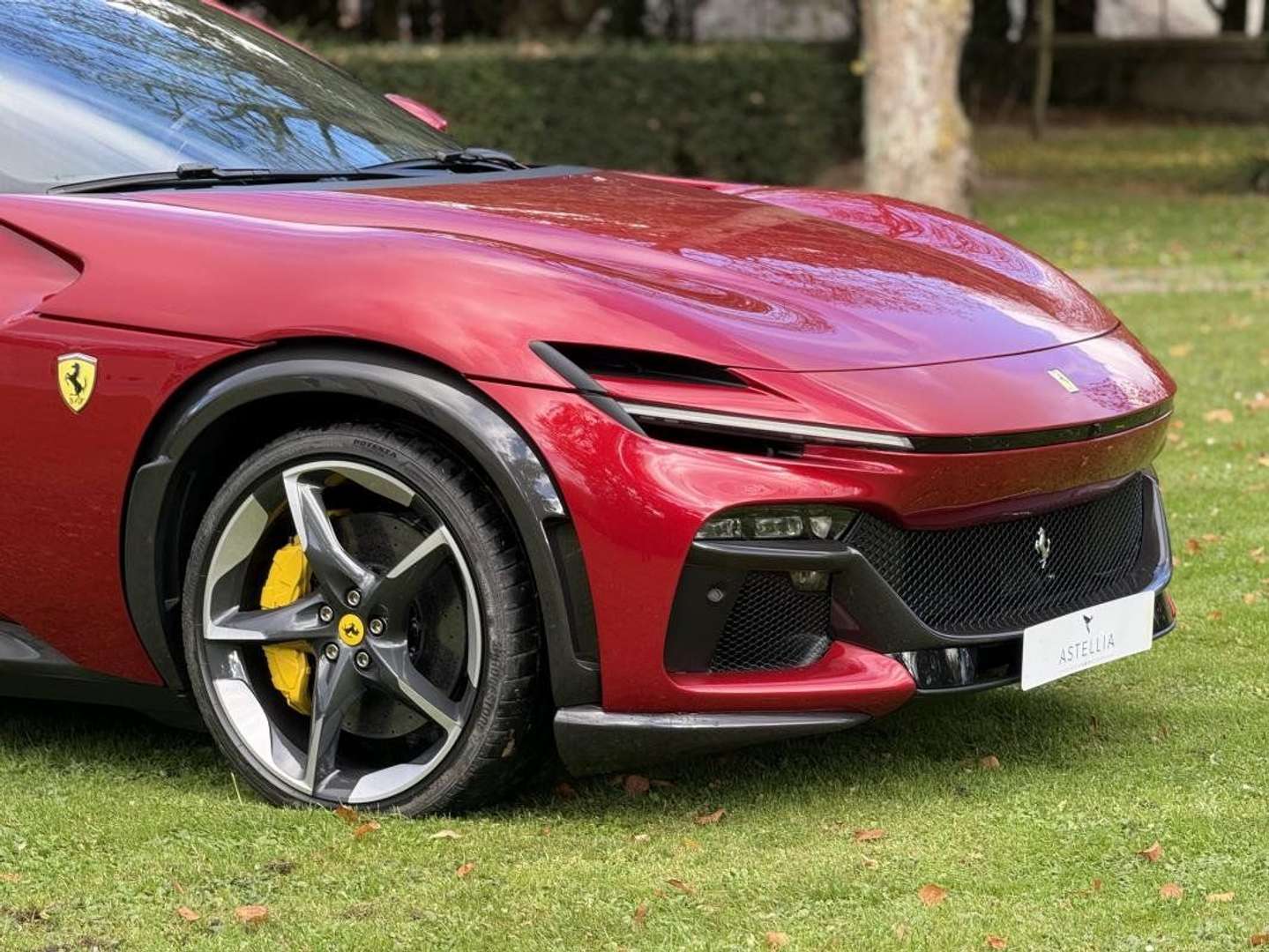 Ferrari Purosangue - 2024 - Joinsteer - #6