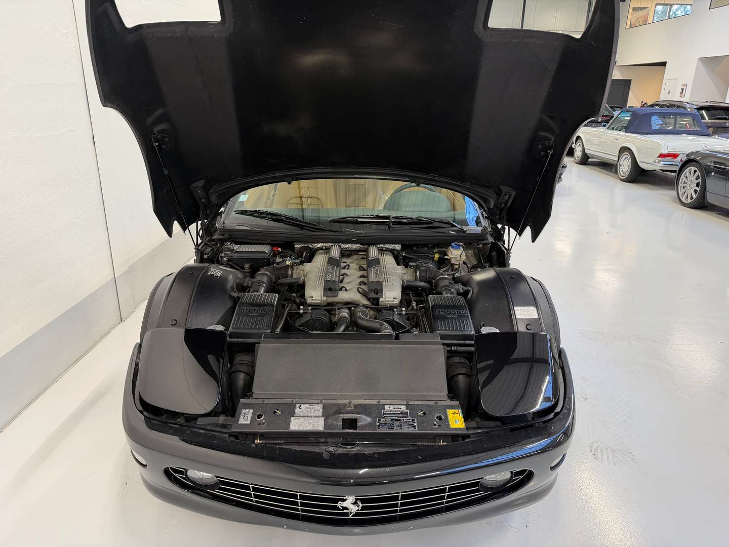 Ferrari 456 GT - 2001 - Joinsteer - #16