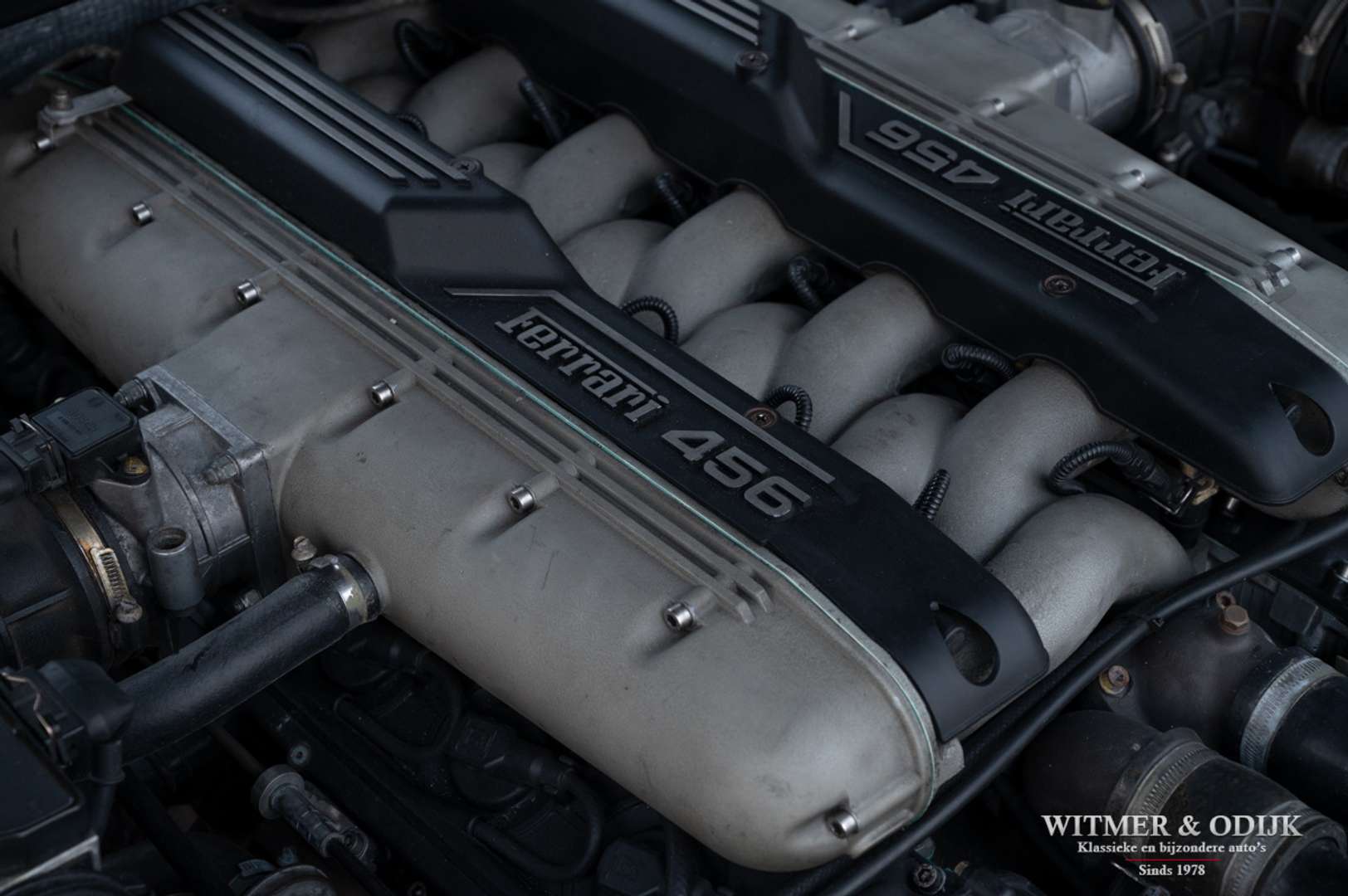 Ferrari 456 GT - 1996 - Joinsteer - #29