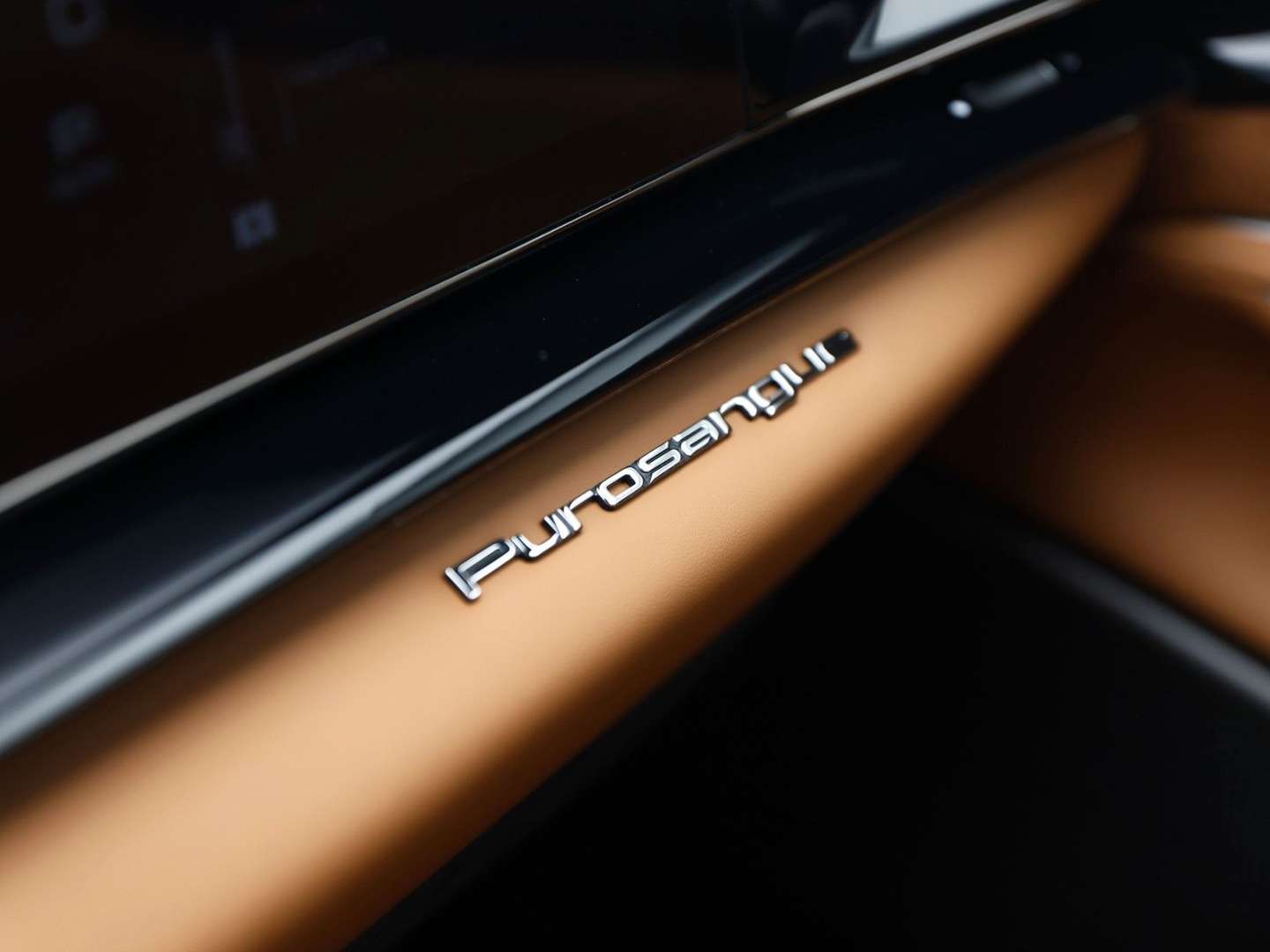 Ferrari Purosangue - 2025 - Joinsteer - #22