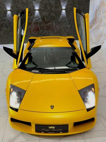 Lamborghini Murciélago — photo 5