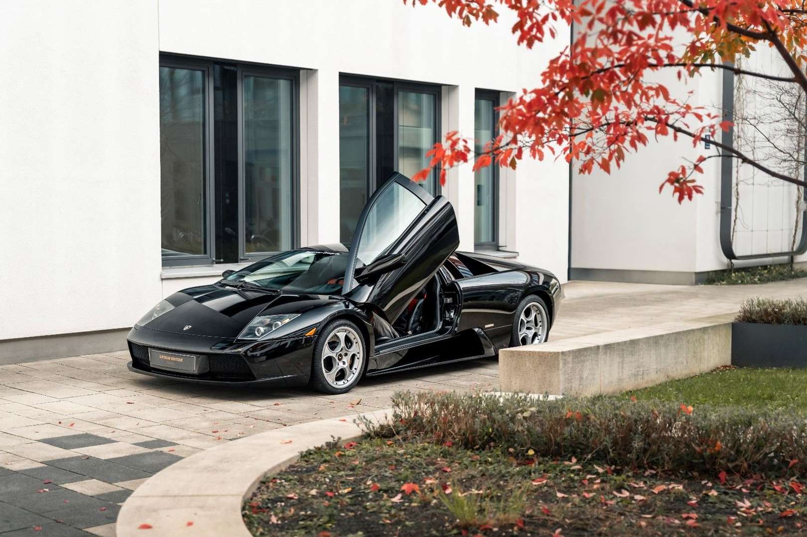 Lamborghini Murciélago - 2003 - Joinsteer - #13