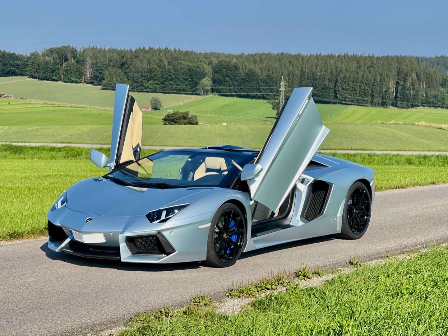 Lamborghini Aventador SV Roadster - 2015 - Joinsteer - #7