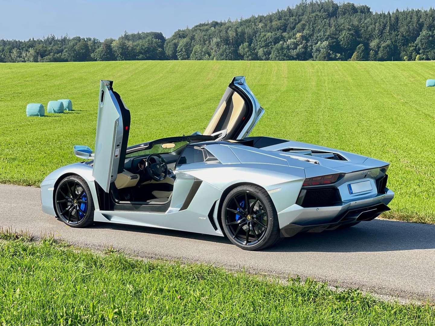 Lamborghini Aventador SV Roadster - 2015 - Joinsteer - #8
