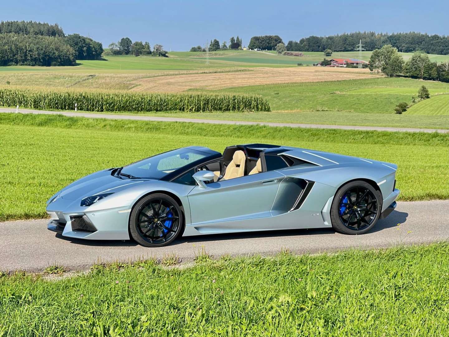 Lamborghini Aventador SV Roadster - 2015 - Joinsteer - #10