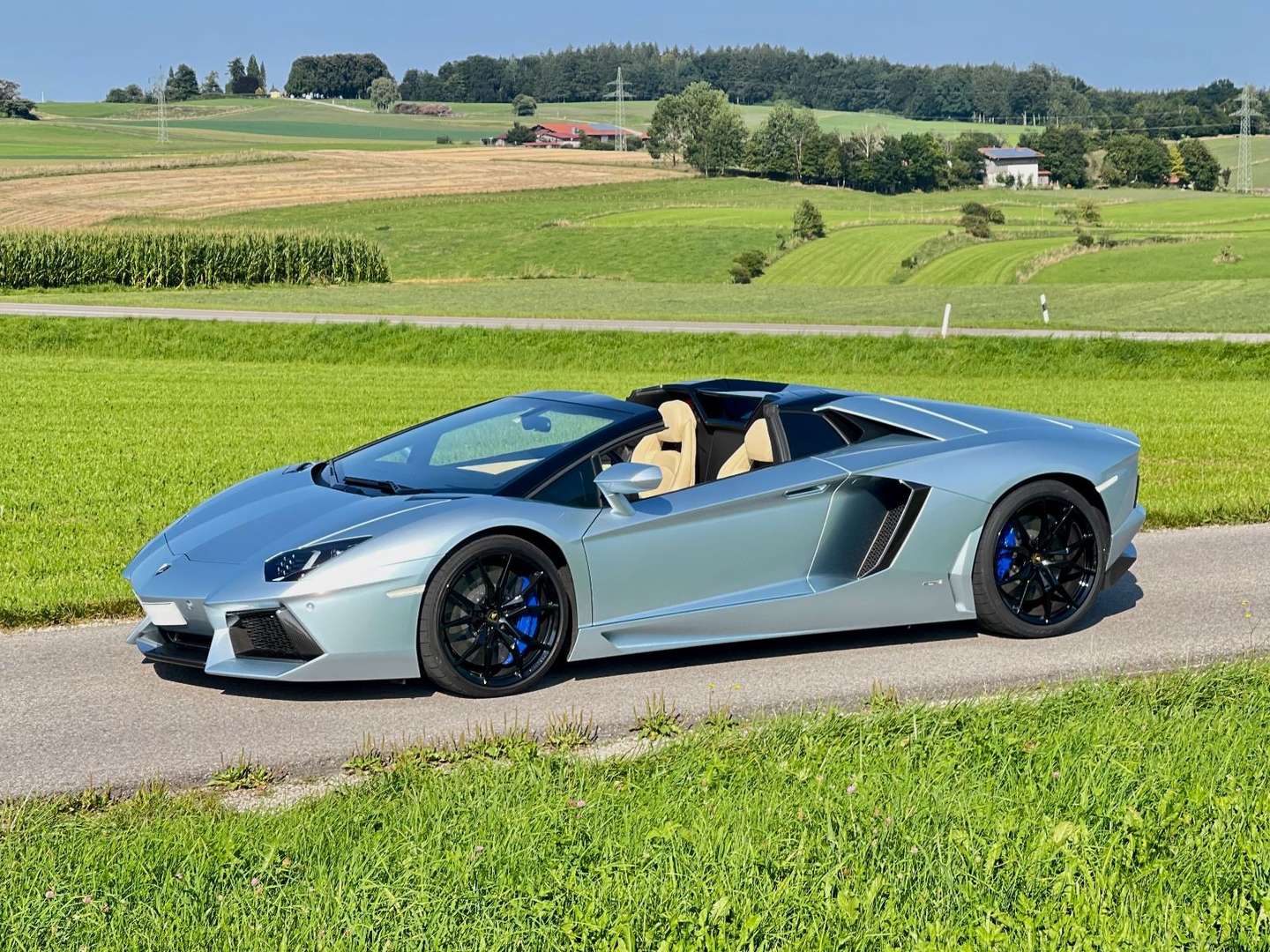 Lamborghini Aventador SV Roadster - 2015 - Joinsteer - #11
