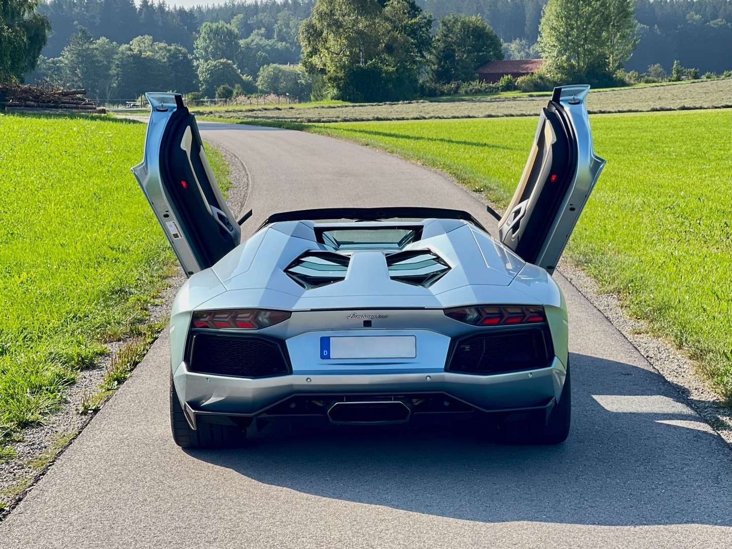 Lamborghini Aventador SV Roadster - 2015 - Joinsteer - #14