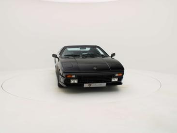 Lamborghini Jalpa Targa — photo 4