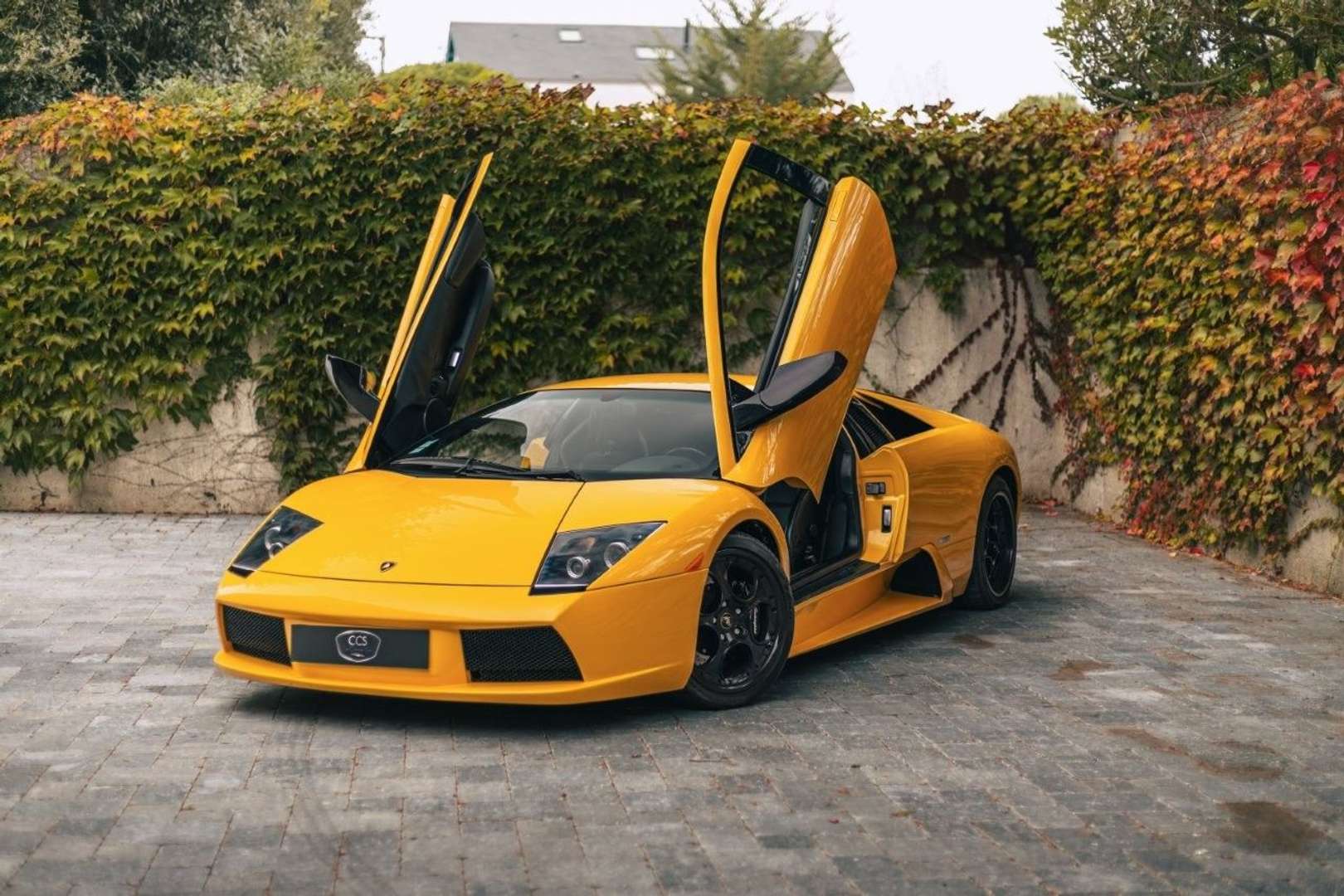 Lamborghini Murciélago LP 580-4 - 2003 - Joinsteer - #1