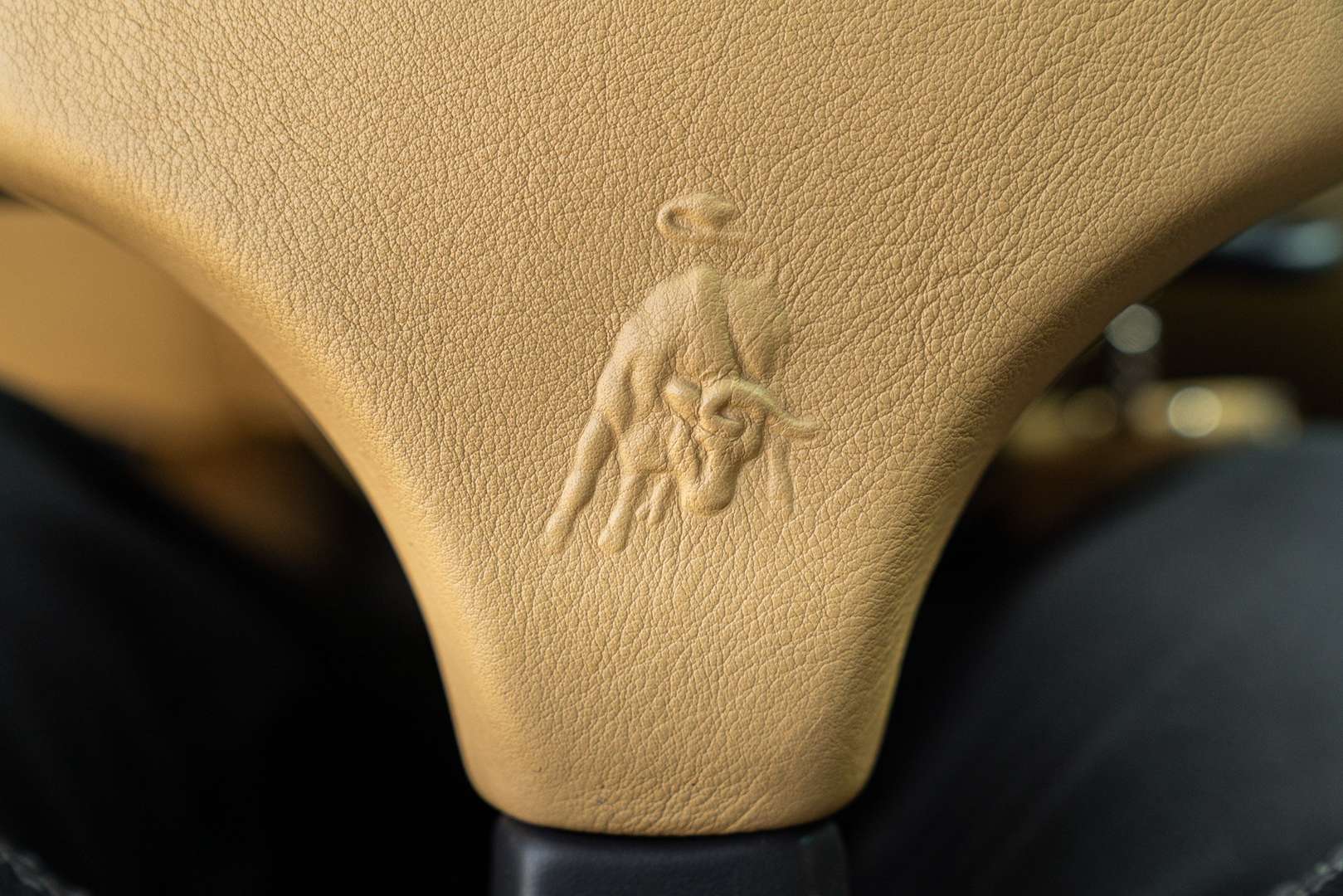 Lamborghini Diablo - 1993 - Joinsteer - #13