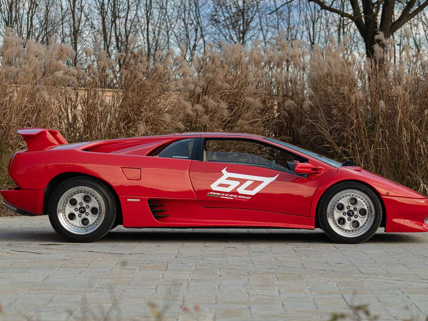 Lamborghini Diablo - 1993 - Joinsteer - #34