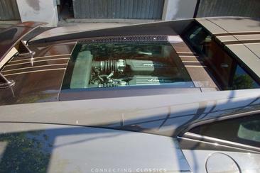 Lamborghini Gallardo 570-4 — photo 13