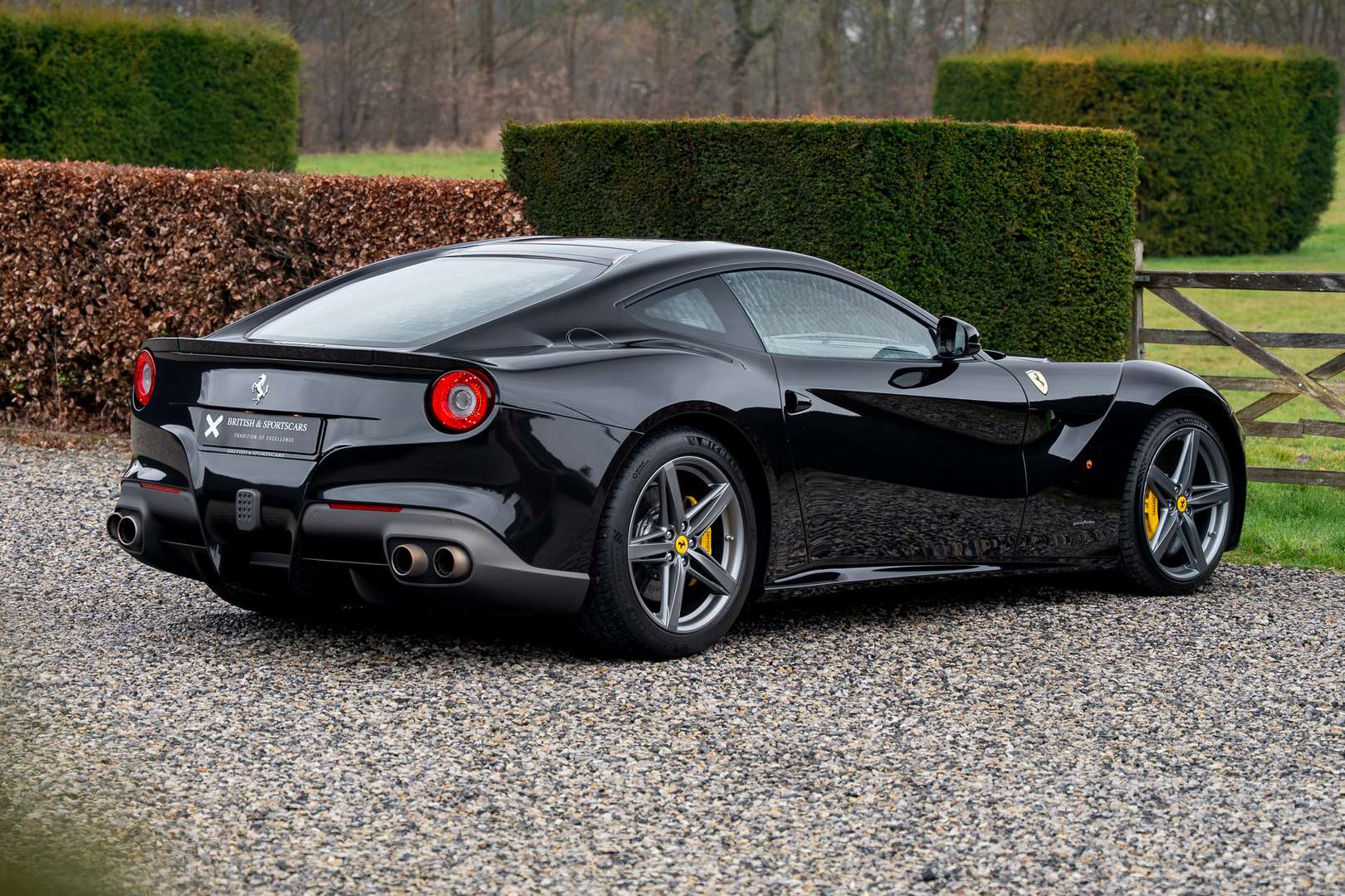 Ferrari F12 Berlinetta - 2015 - Joinsteer - #2