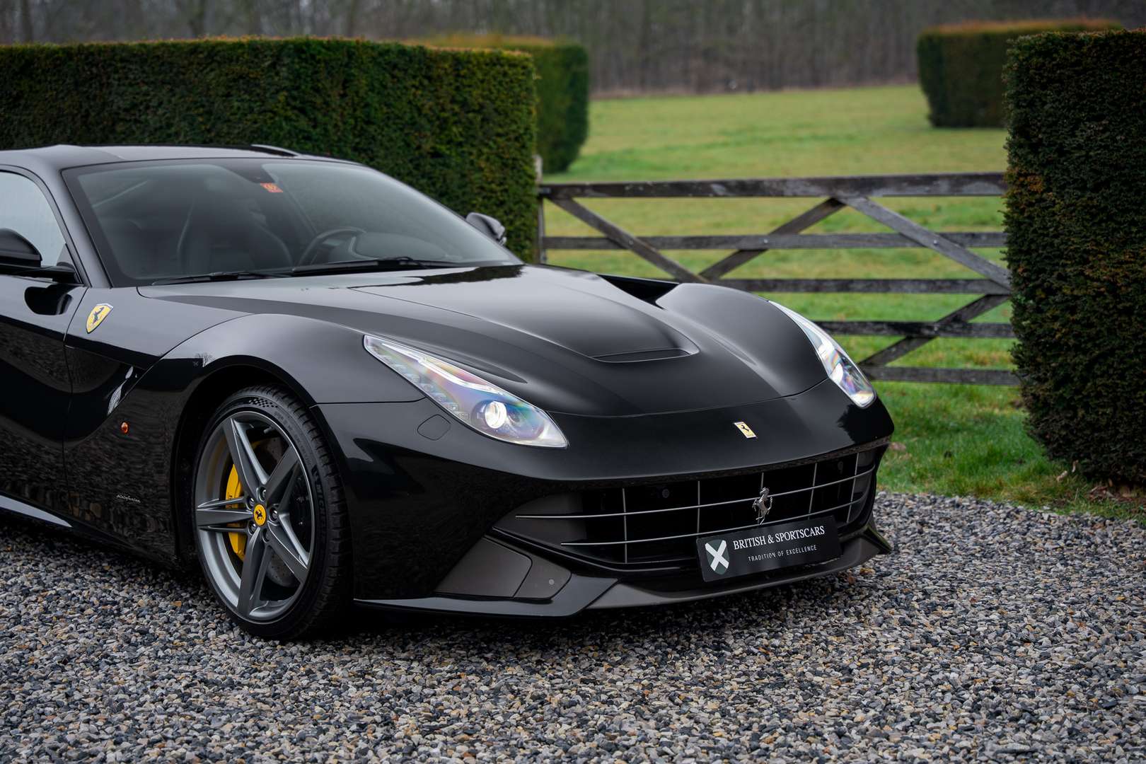 Ferrari F12 Berlinetta - 2015 - Joinsteer - #9
