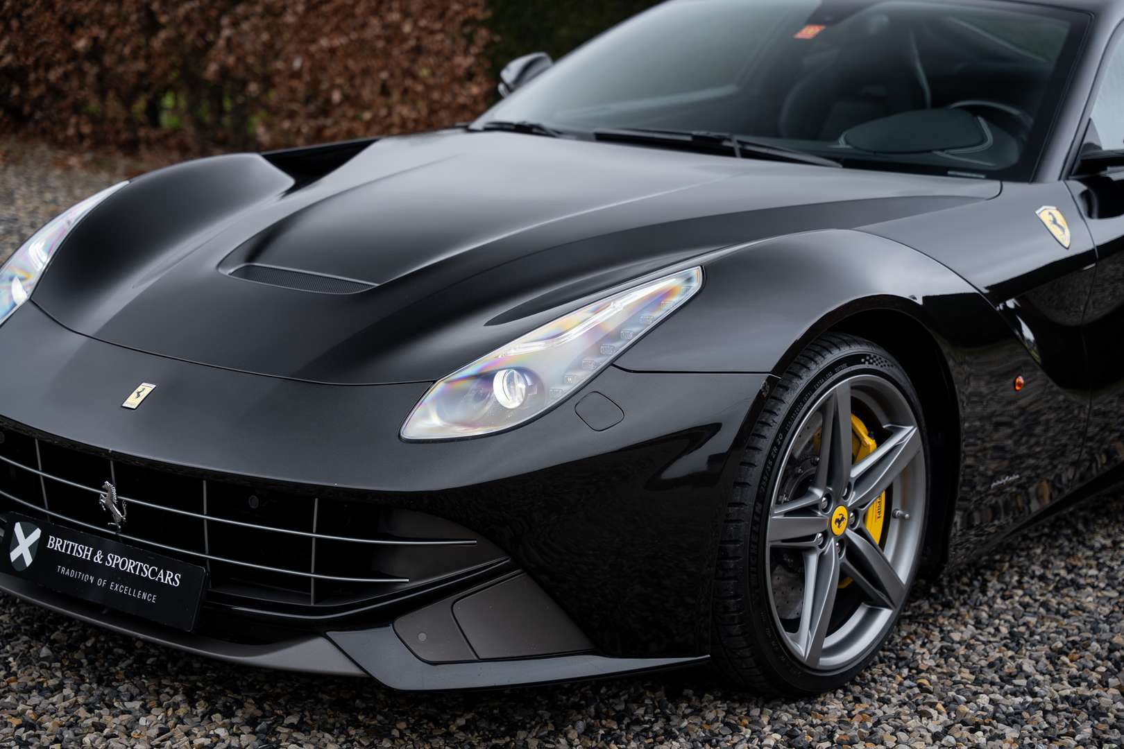 Ferrari F12 Berlinetta - 2015 - Joinsteer - #16