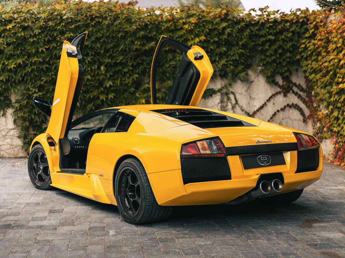 Lamborghini Murciélago - 2003 - Joinsteer - #2