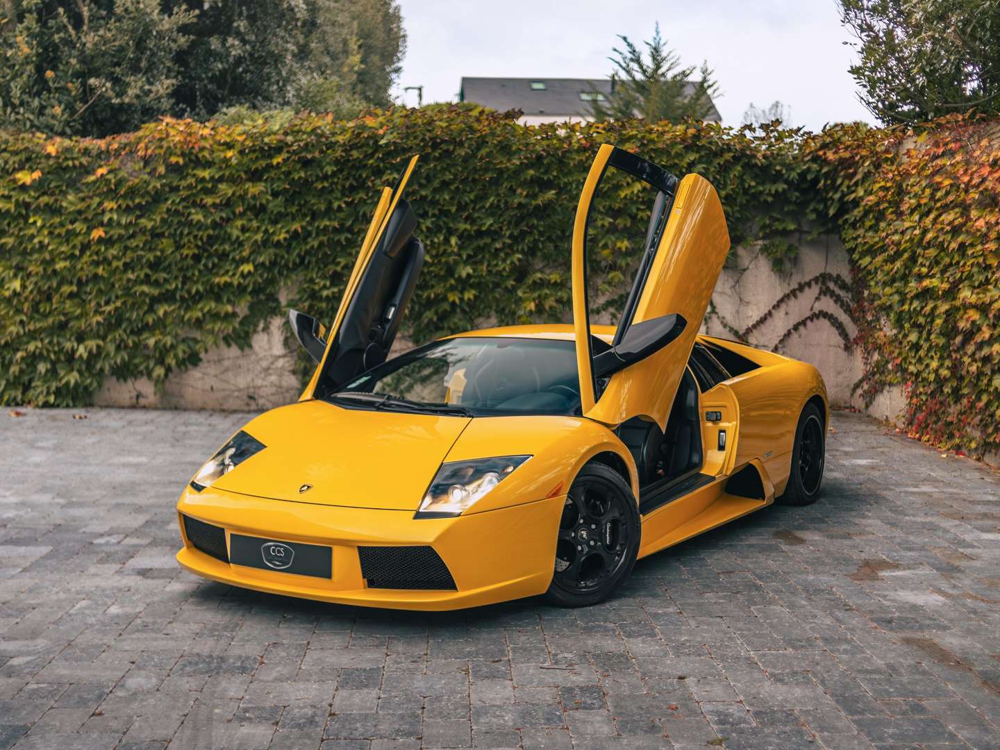 Lamborghini Murciélago - 2003 - Joinsteer - #4