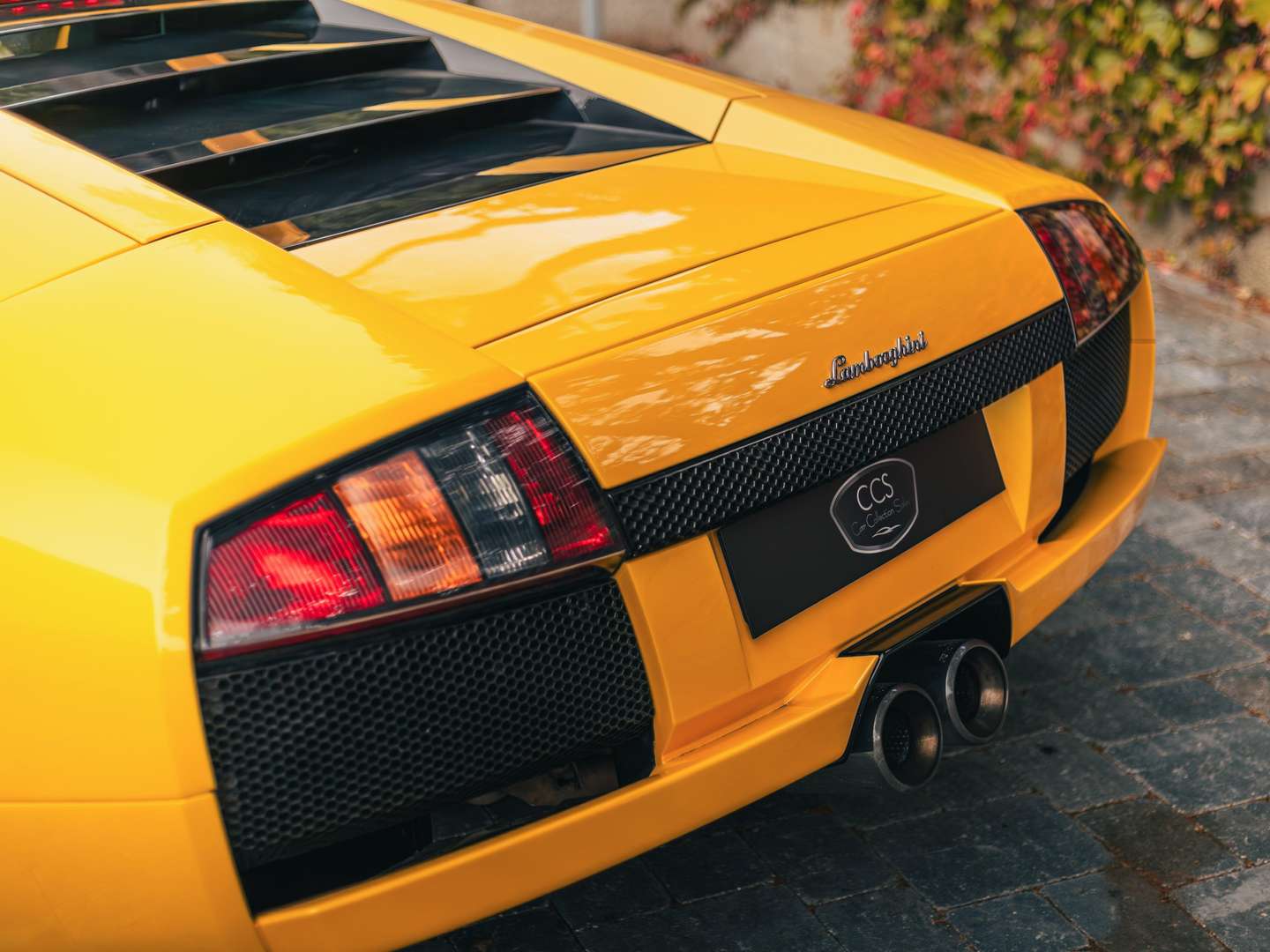 Lamborghini Murciélago - 2003 - Joinsteer - #17