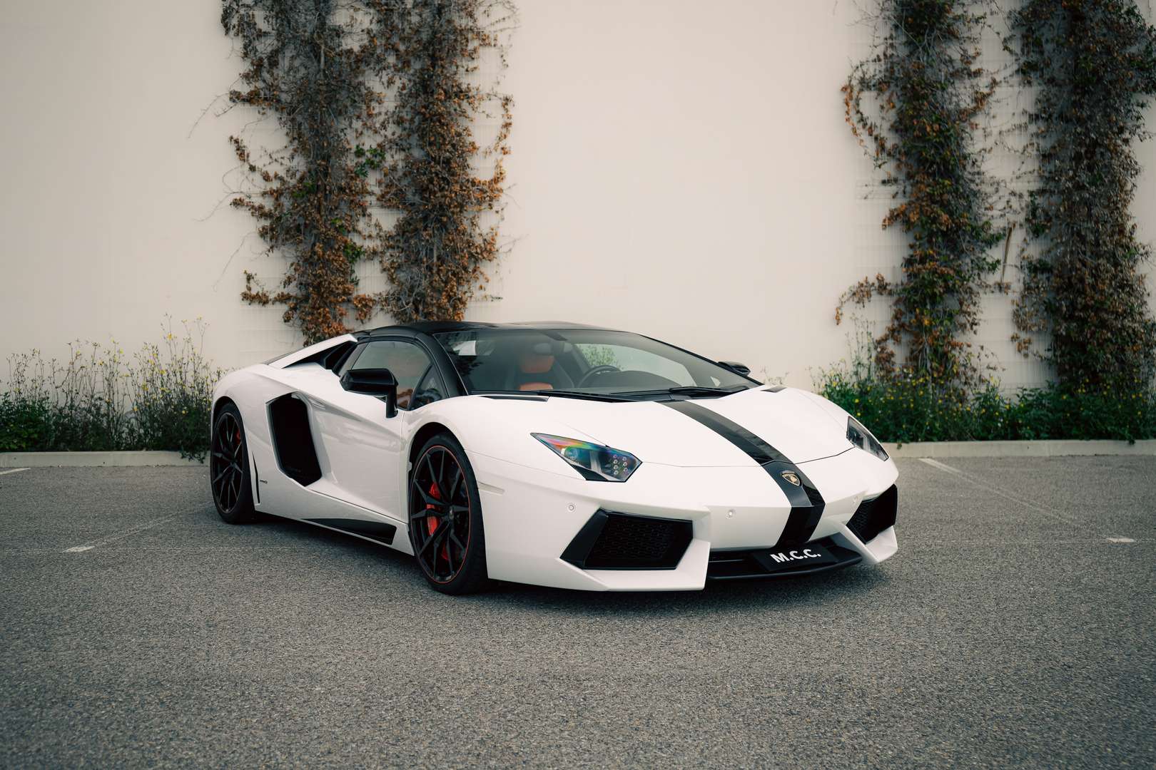 Lamborghini Aventador SV Roadster - 2014 - Joinsteer - #2