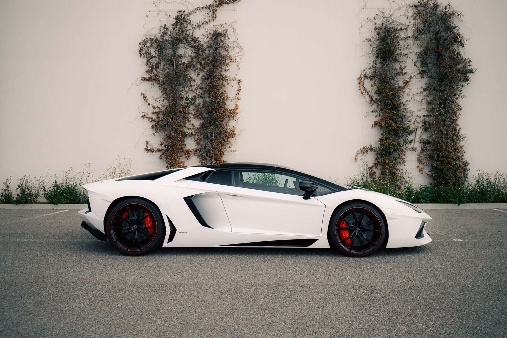 Lamborghini Aventador SV Roadster - 2014 - Joinsteer - #5
