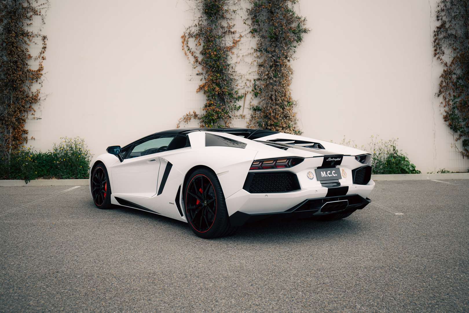 Lamborghini Aventador SV Roadster - 2014 - Joinsteer - #7