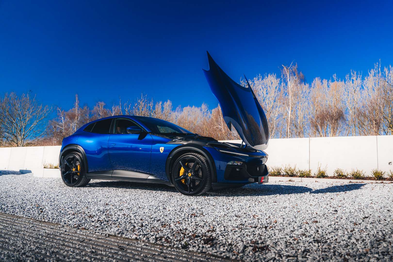 Ferrari Purosangue - 2023 - Joinsteer - #9