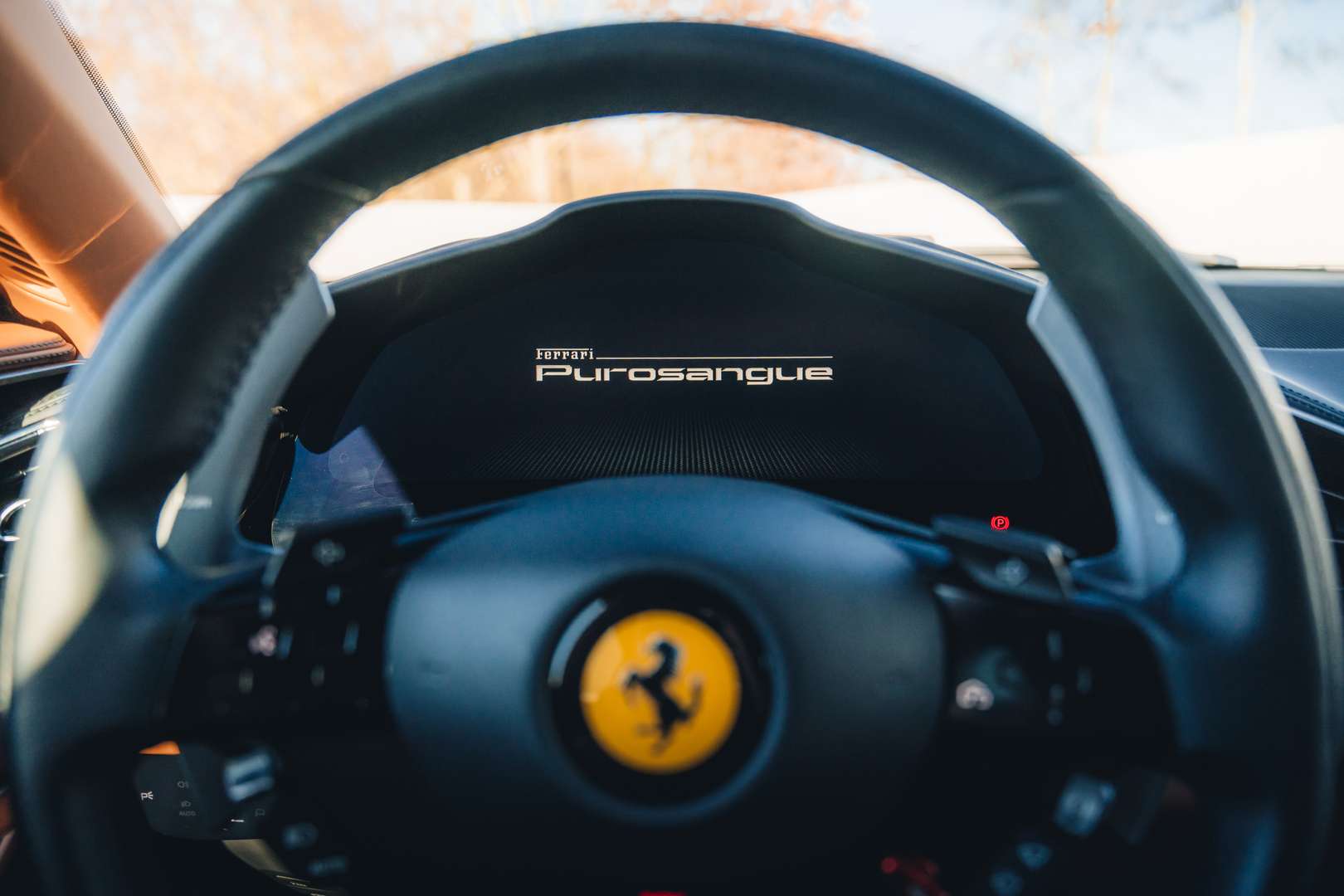 Ferrari Purosangue - 2023 - Joinsteer - #18