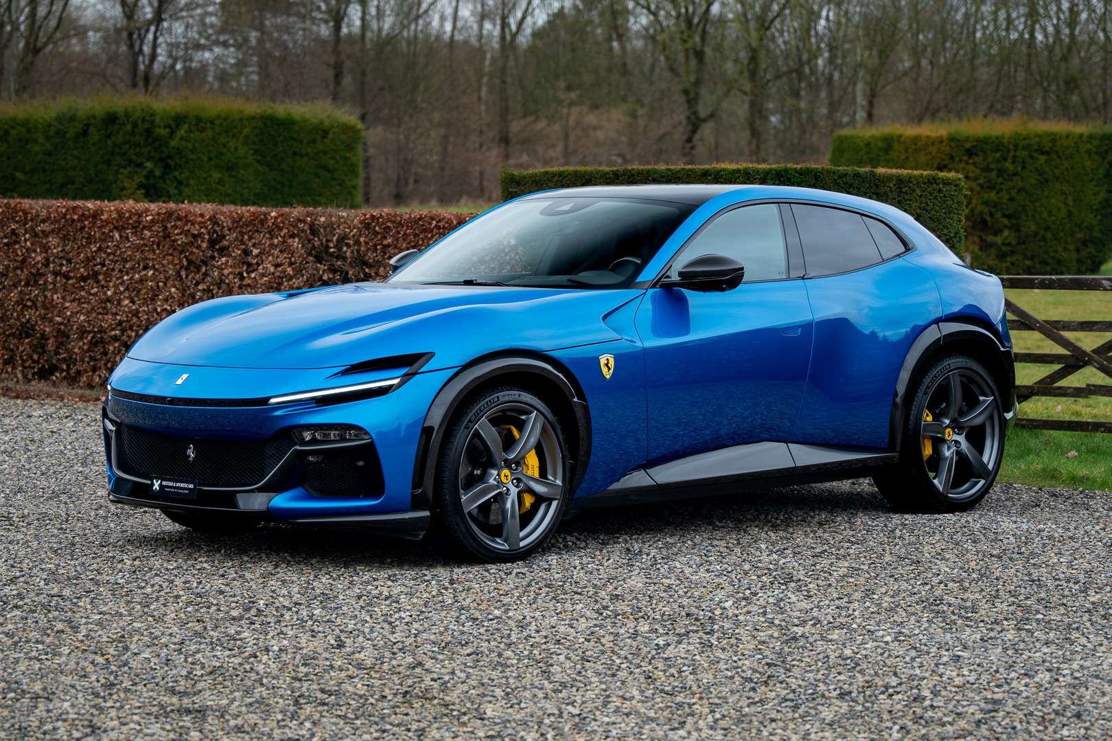 Ferrari Purosangue - 2024 - Joinsteer - #3