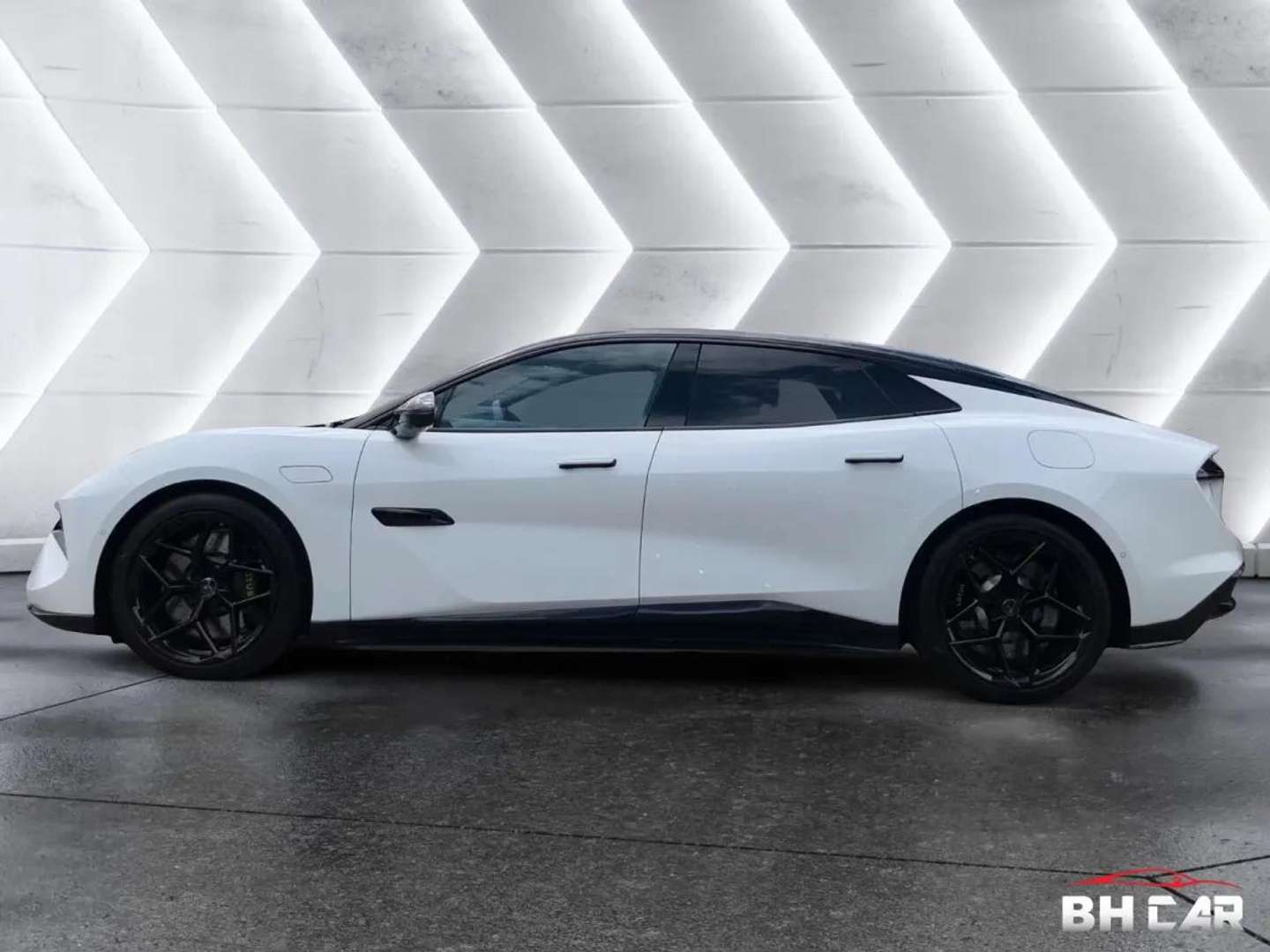 Lotus Emeya - 2025 - Joinsteer - #6