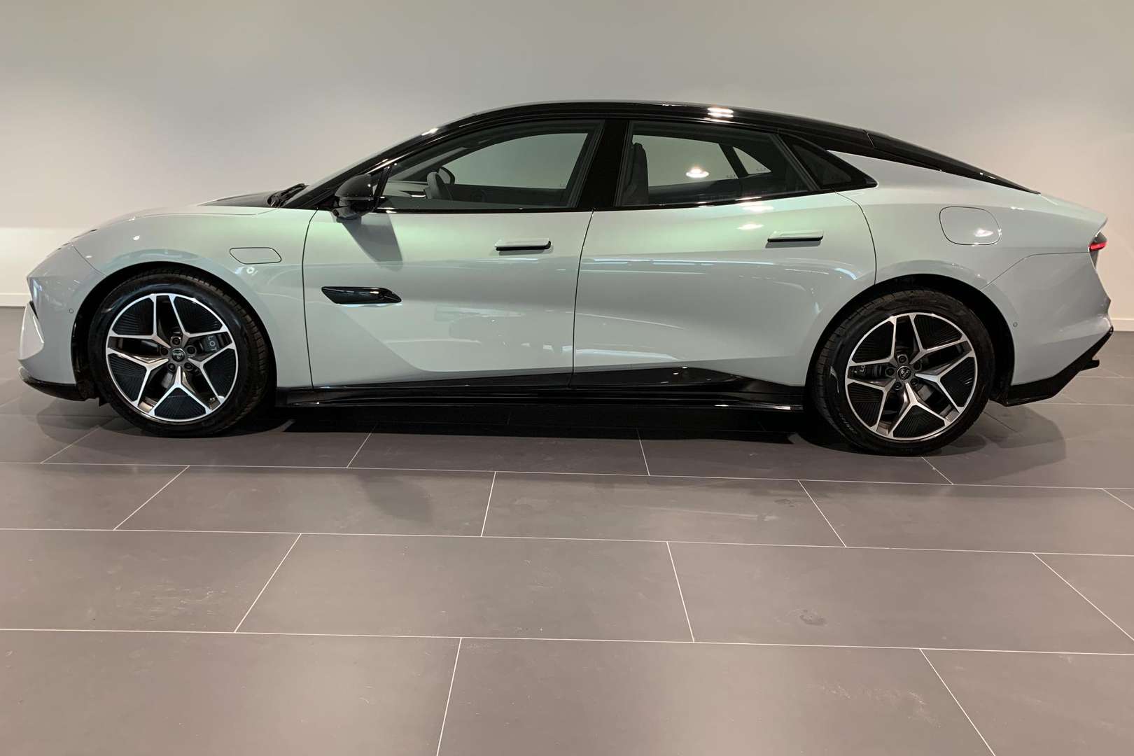 Lotus Emeya - 2025 - Joinsteer - #2