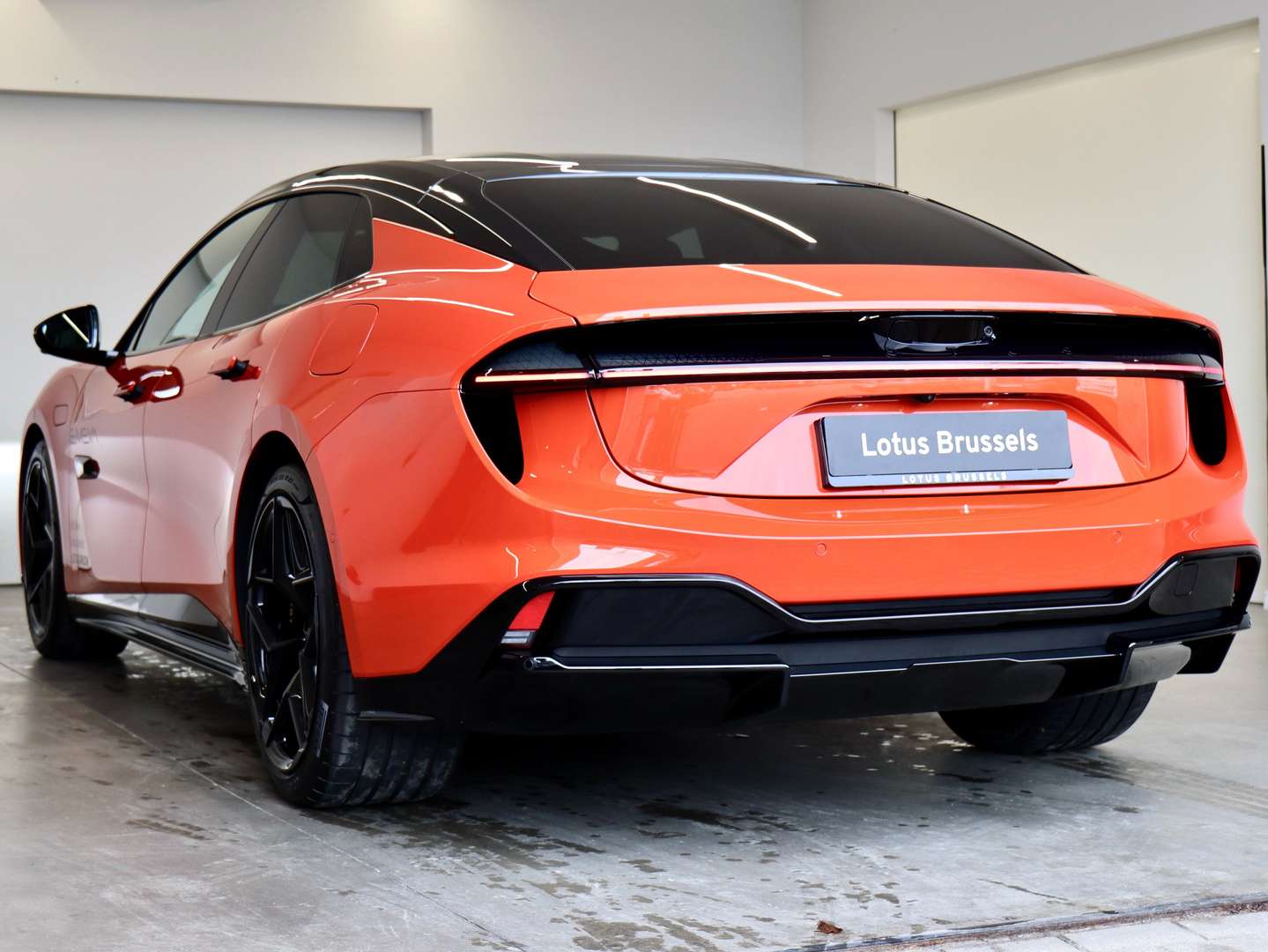 Lotus Emeya - 2024 - Joinsteer - #6