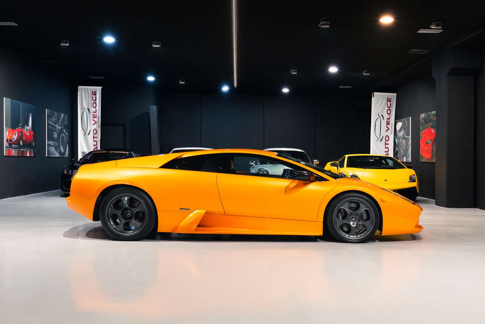 Lamborghini Murciélago Coupé - 2005 - Joinsteer - #2