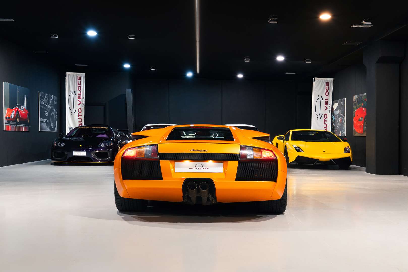 Lamborghini Murciélago Coupé - 2005 - Joinsteer - #8