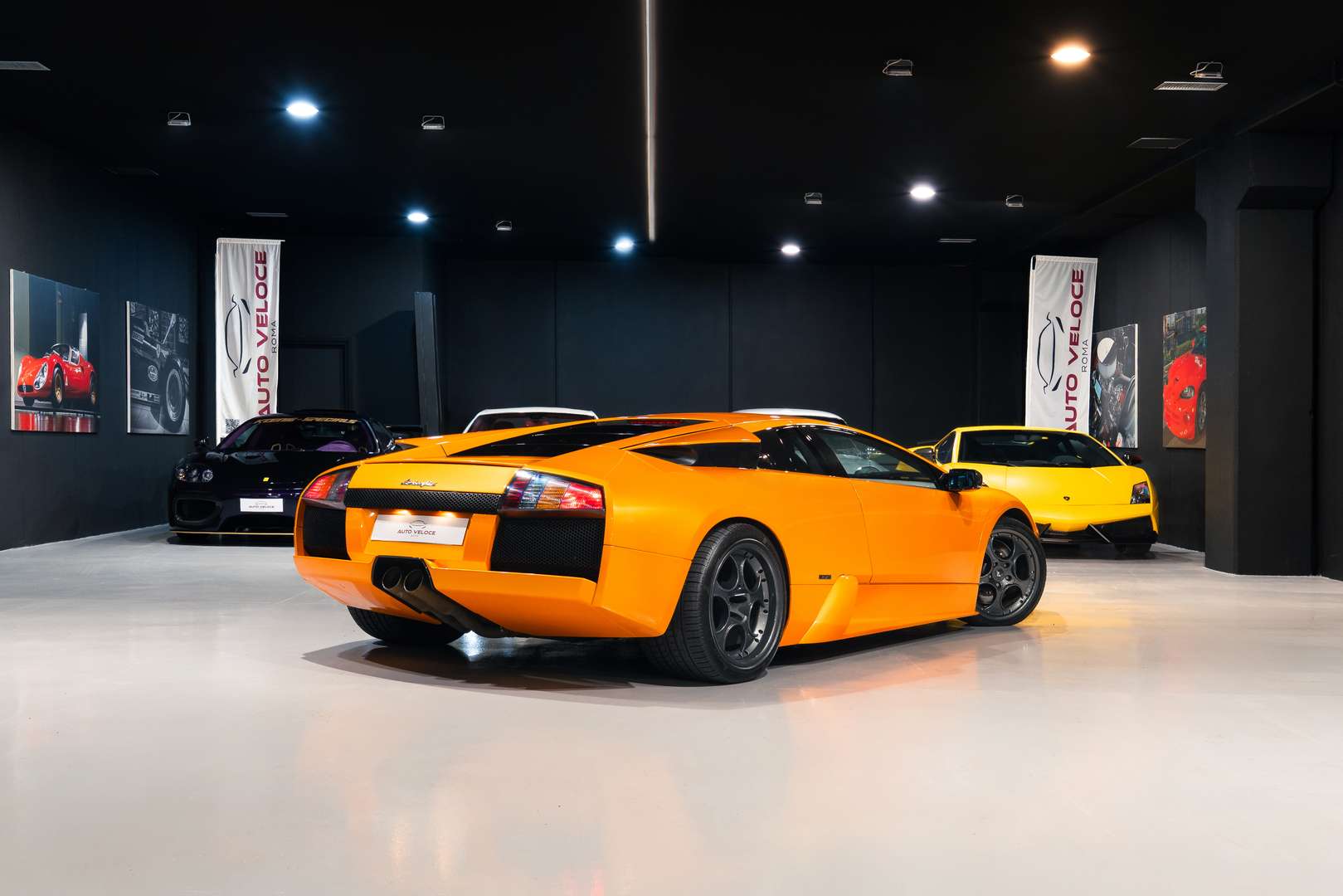 Lamborghini Murciélago Coupé - 2005 - Joinsteer - #9