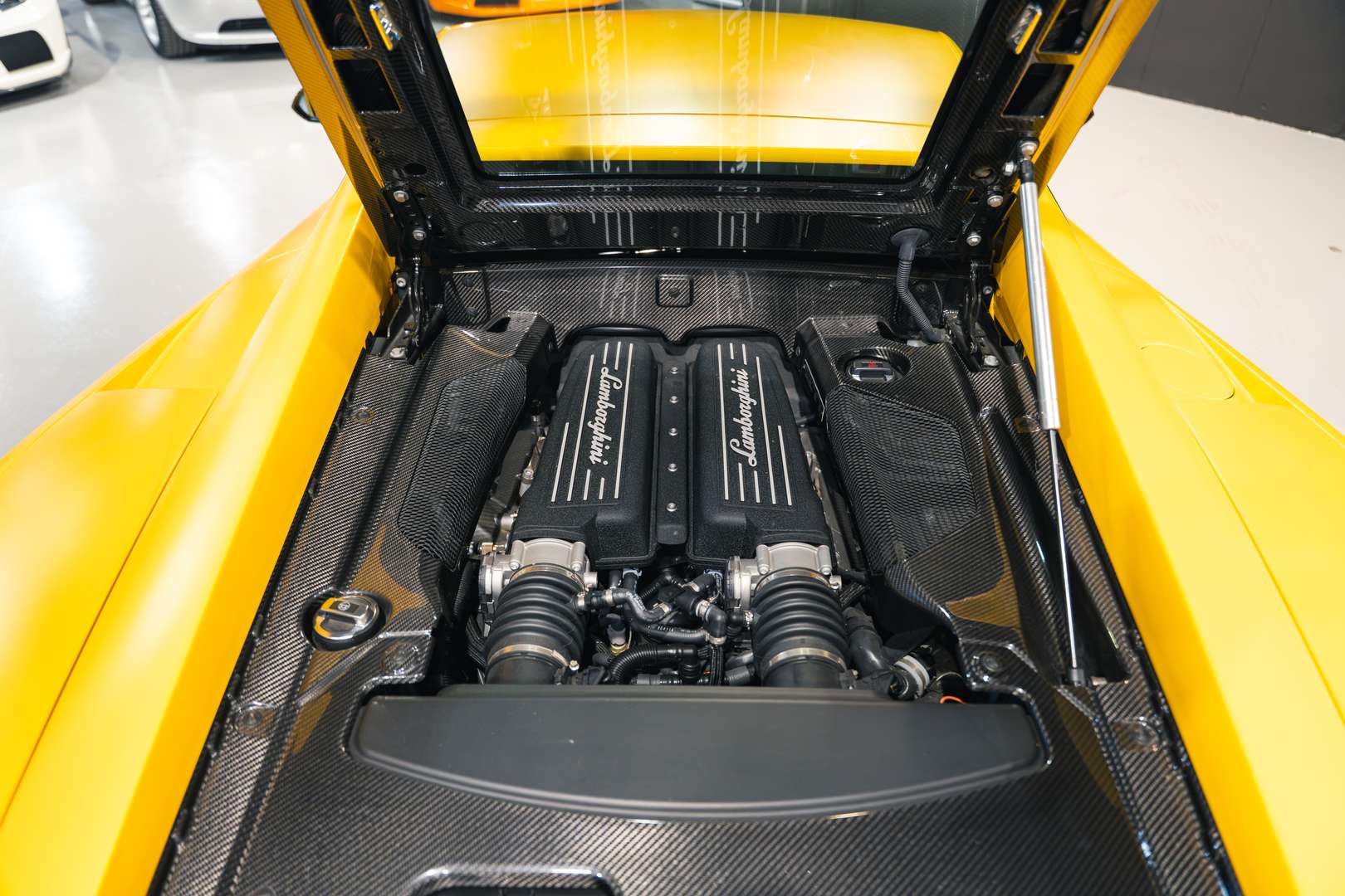 Lamborghini Gallardo Superleggera 50esimo Anniversario - 2013 - Joinsteer - #25