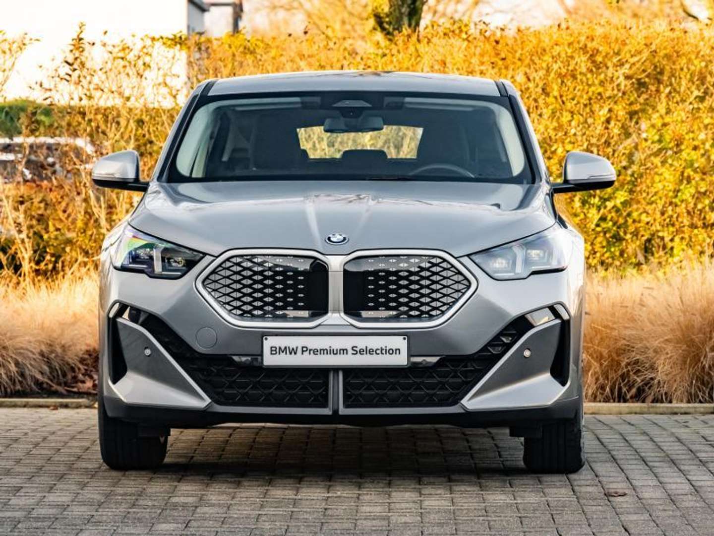 BMW IX2 EDrive20 - 2025 - Joinsteer - #2