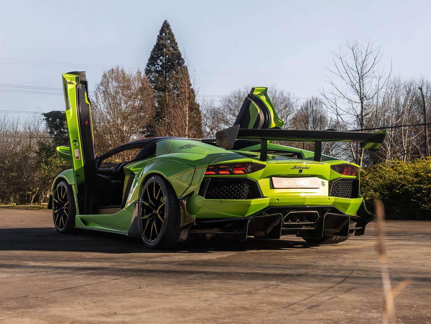 Lamborghini Aventador SV Roadster - 2015 - Joinsteer - #2
