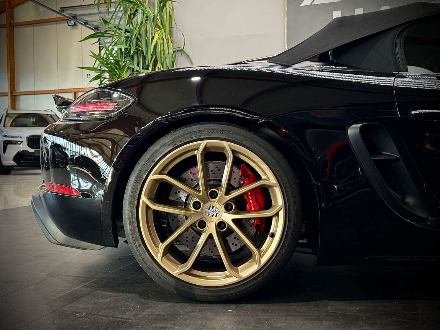 Porsche 718 Boxster Spyder - 2023 - Joinsteer - #13