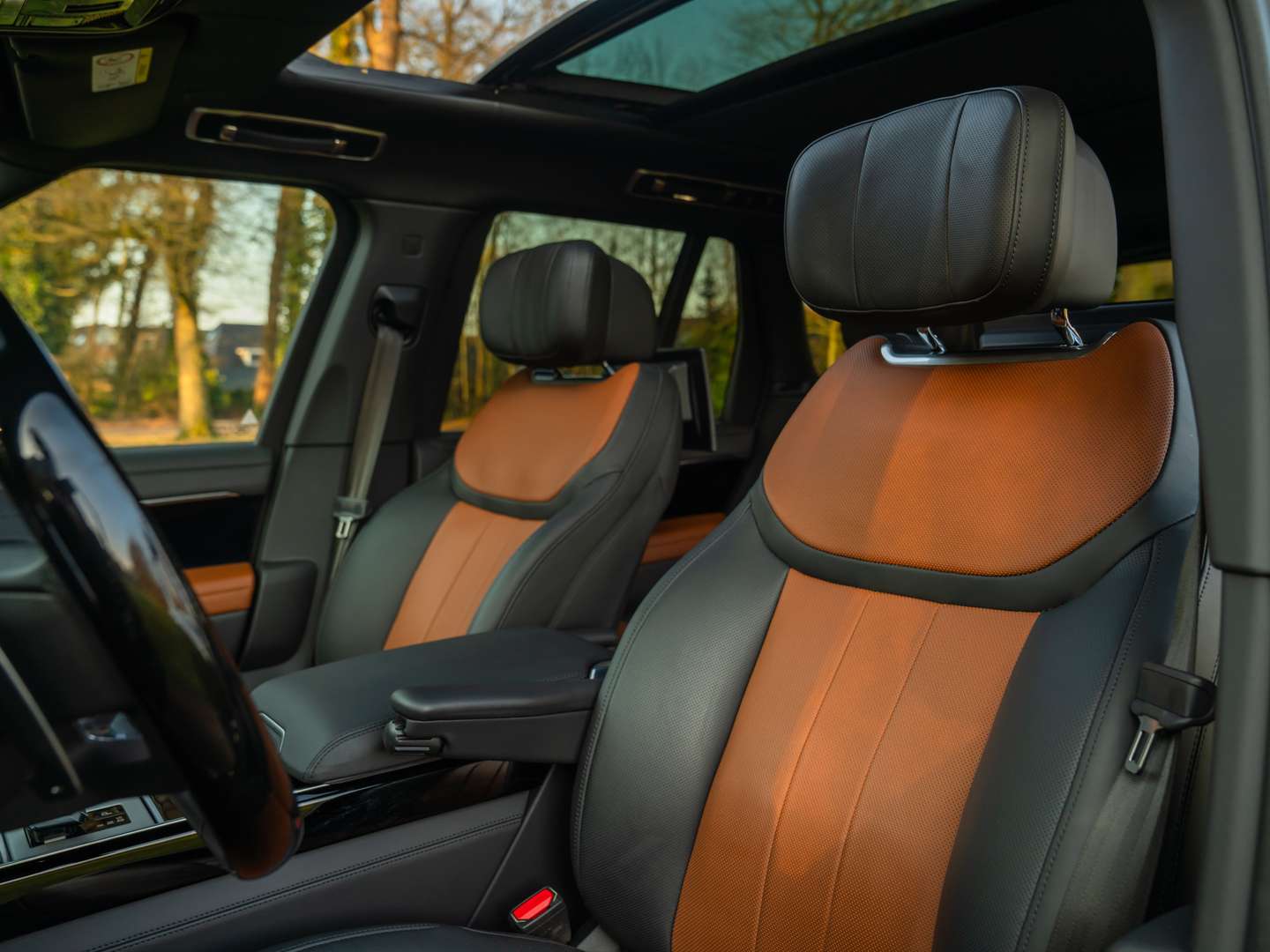 Land Rover Range Rover 3.0 D350 Autobiography MHEV - 2024 - Joinsteer - #8