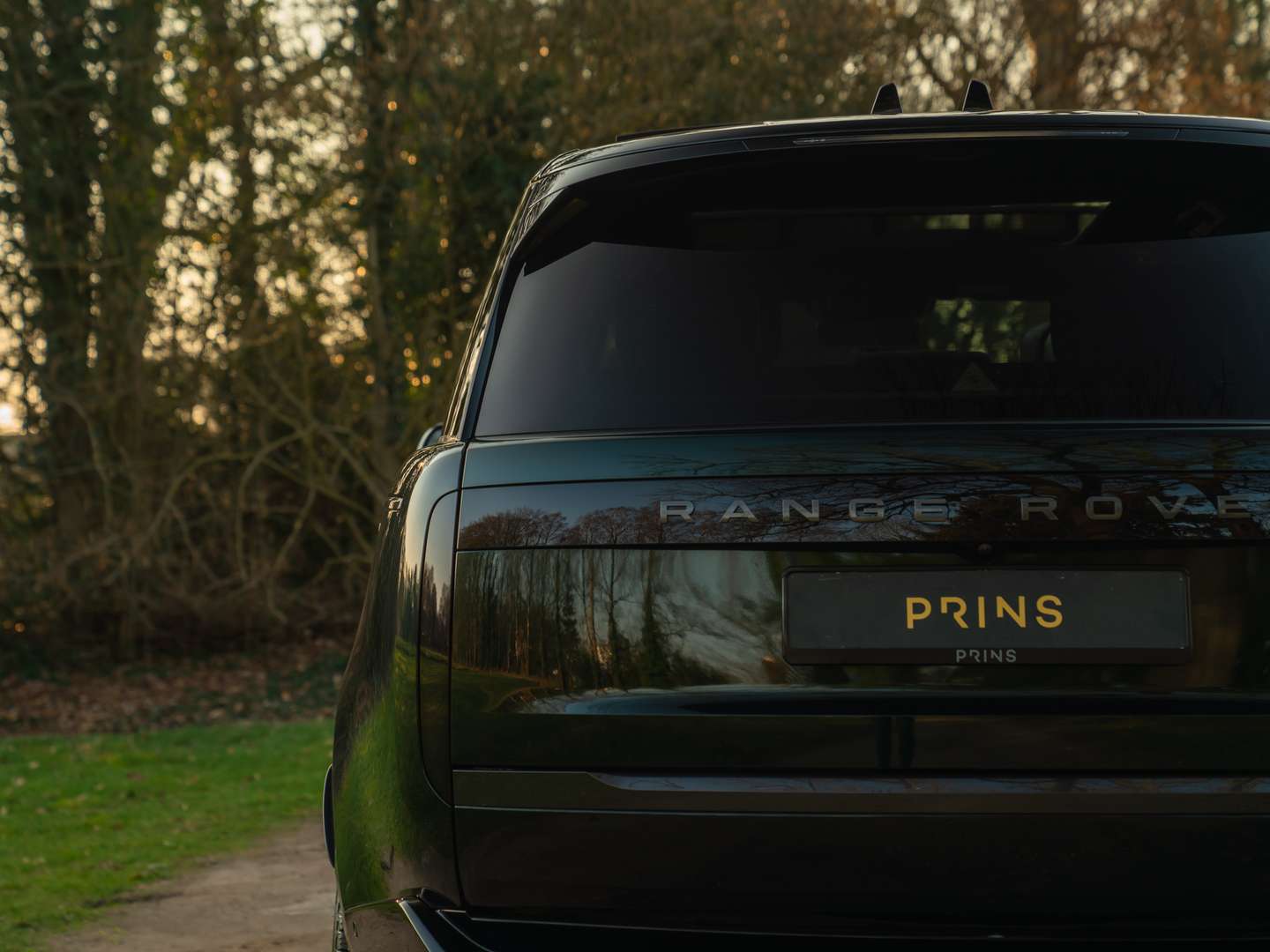 Land Rover Range Rover 3.0 D350 Autobiography MHEV - 2024 - Joinsteer - #29