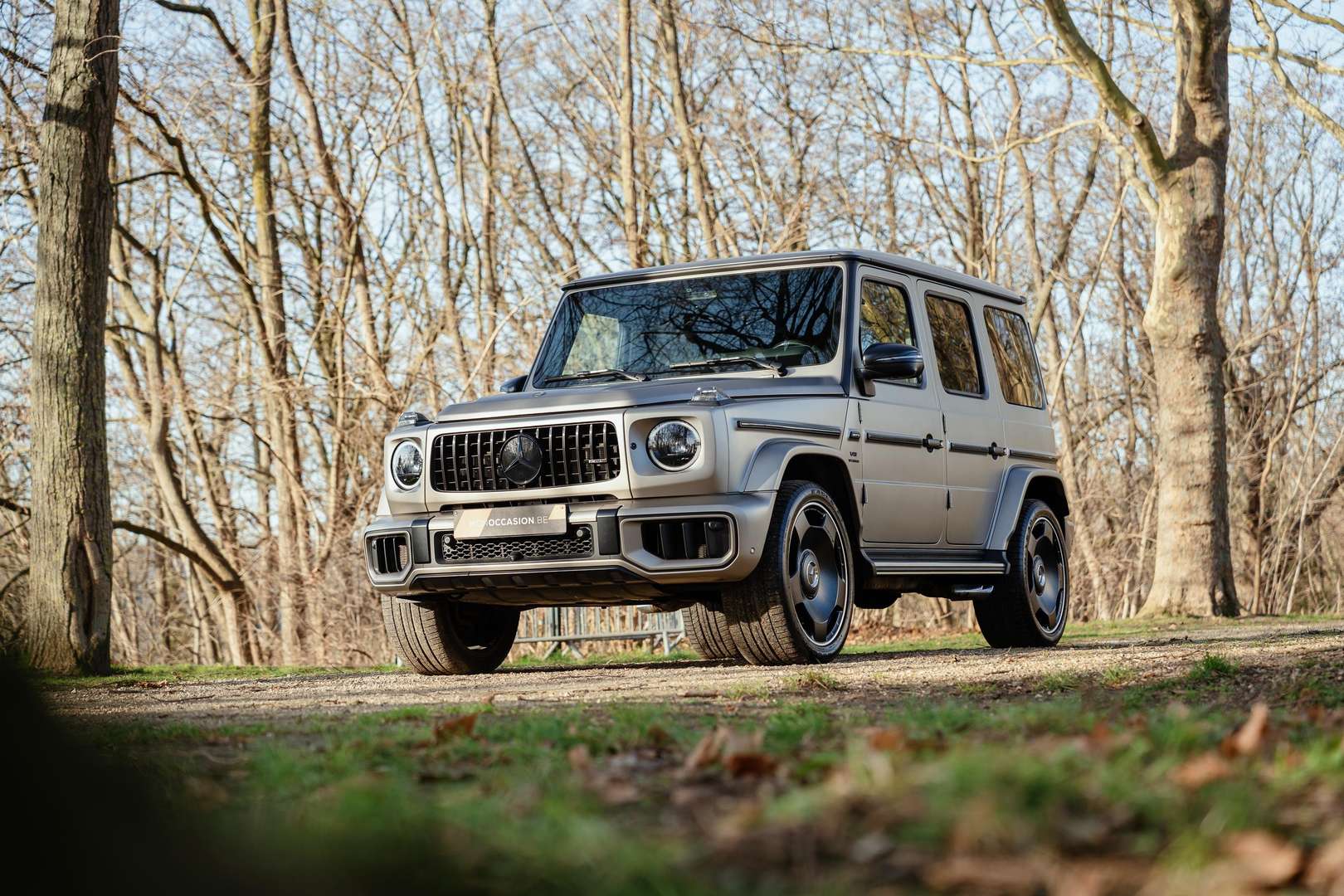 Mercedes GLS - 2025 - Joinsteer - #2