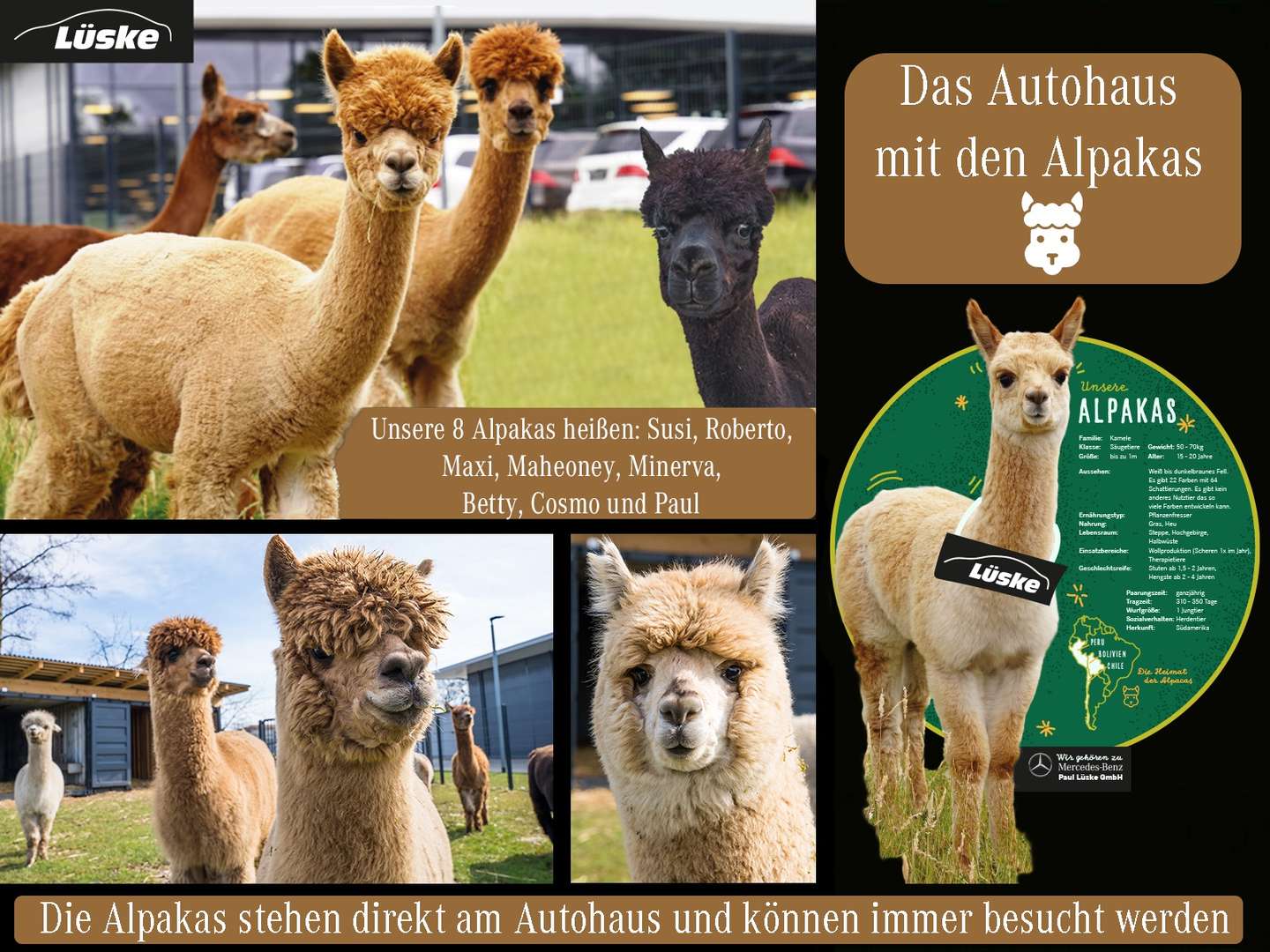 Mercedes GLE 63 Night Edition - 2023 - Joinsteer - #7