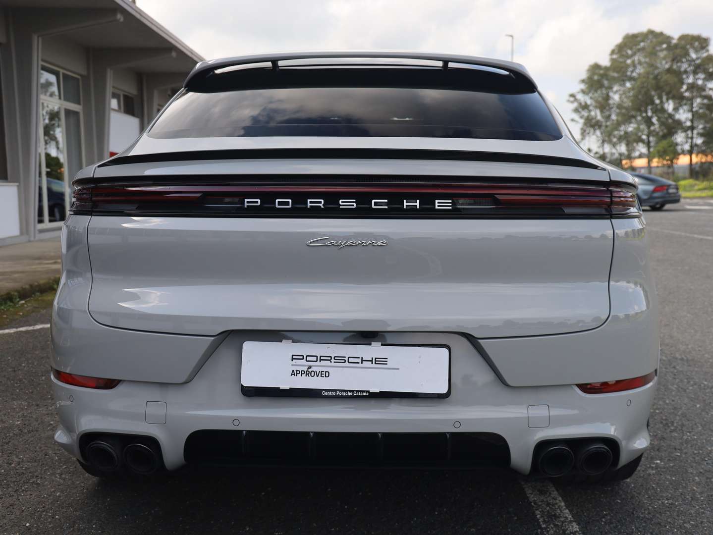 Porsche Cayenne III - 2024 - Joinsteer - #6